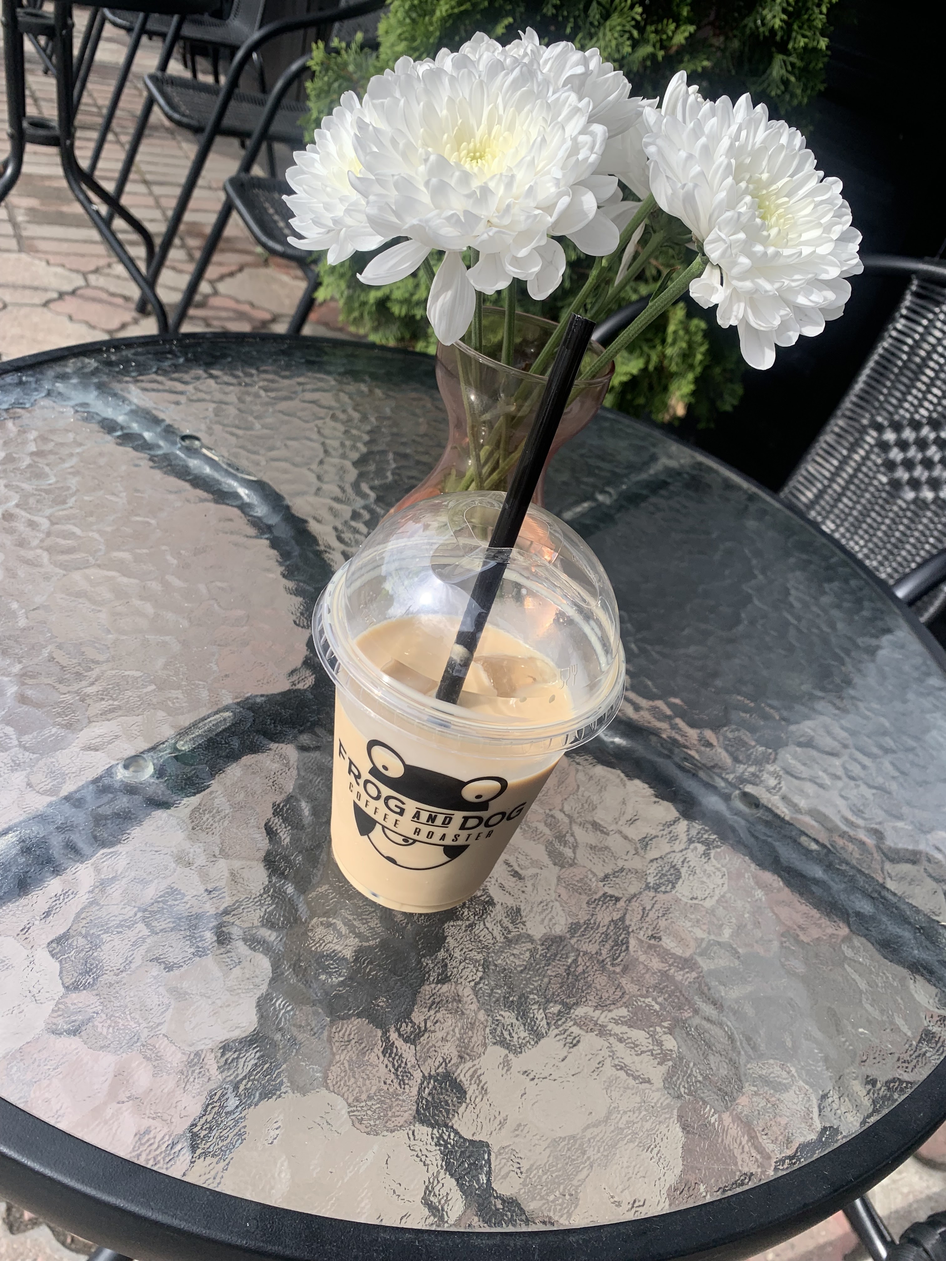 FROG AND DOG image 15