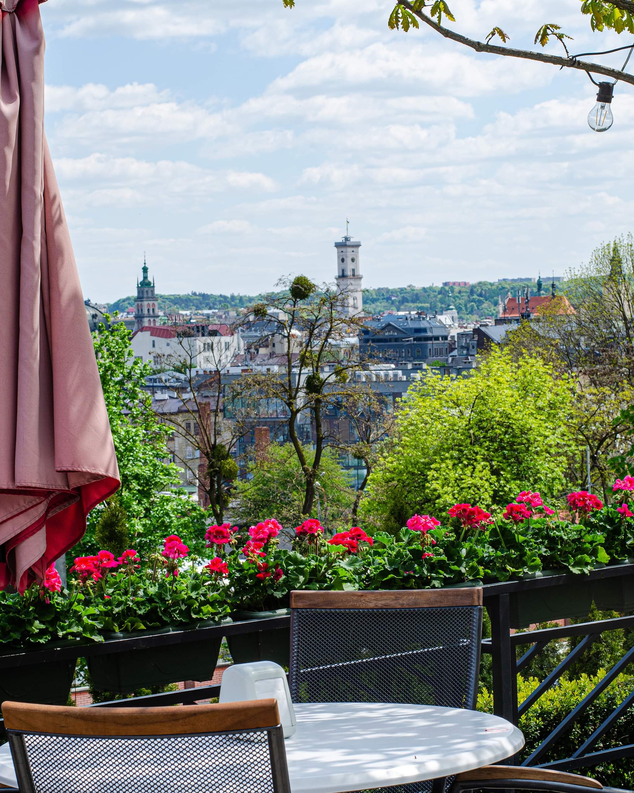 Ресторан Альбертин image 19