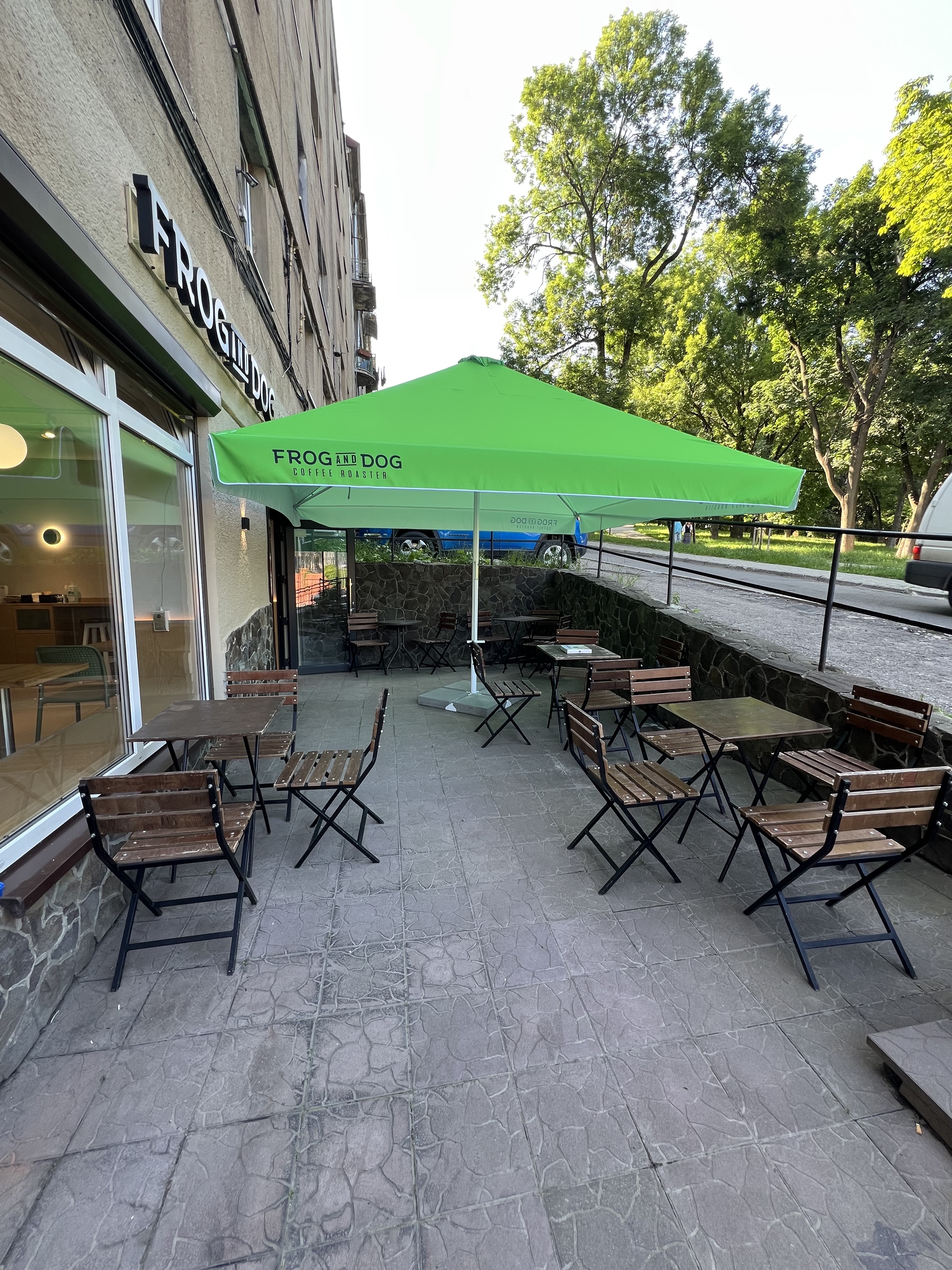 FROG AND DOG image 1