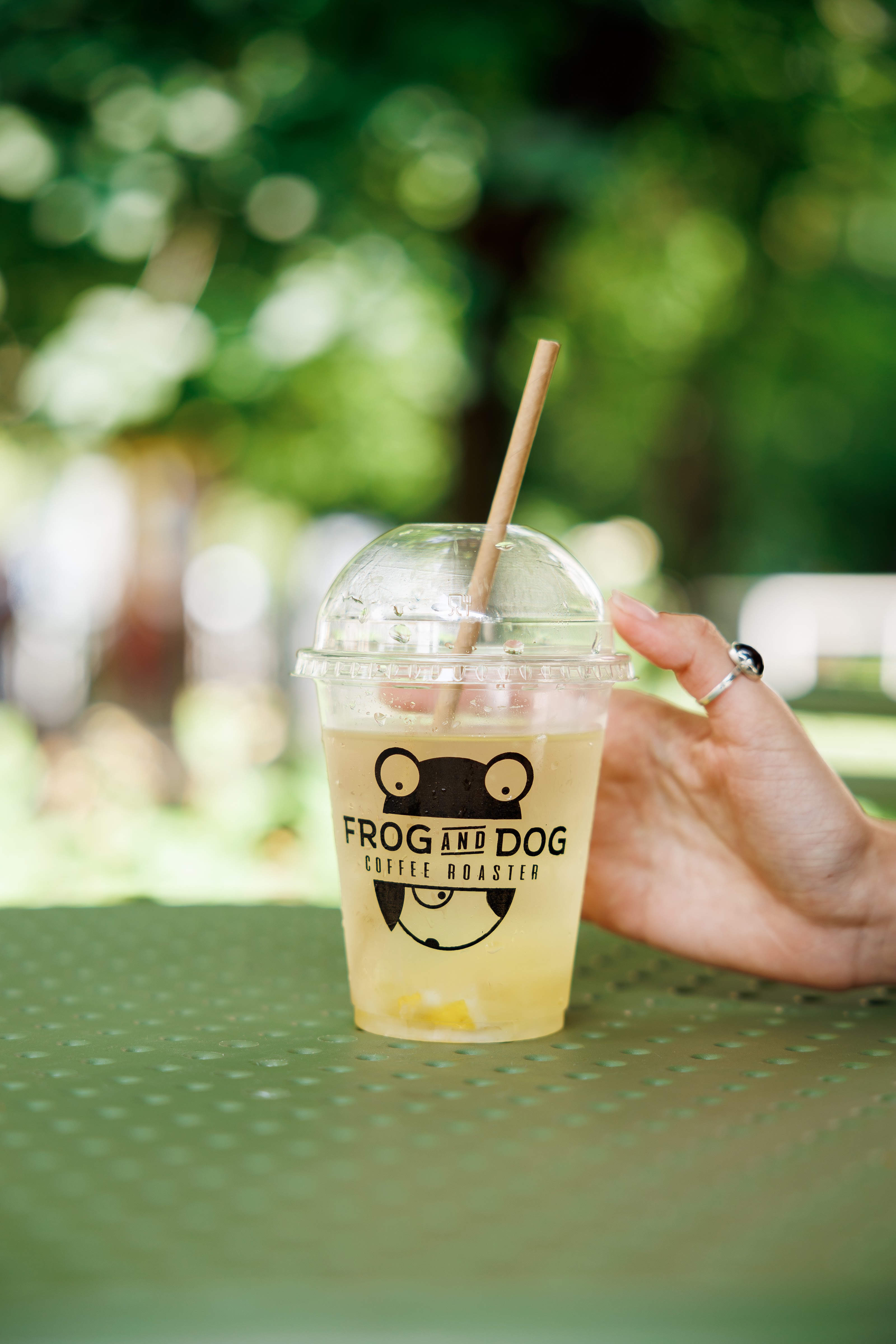 FROG AND DOG image 7