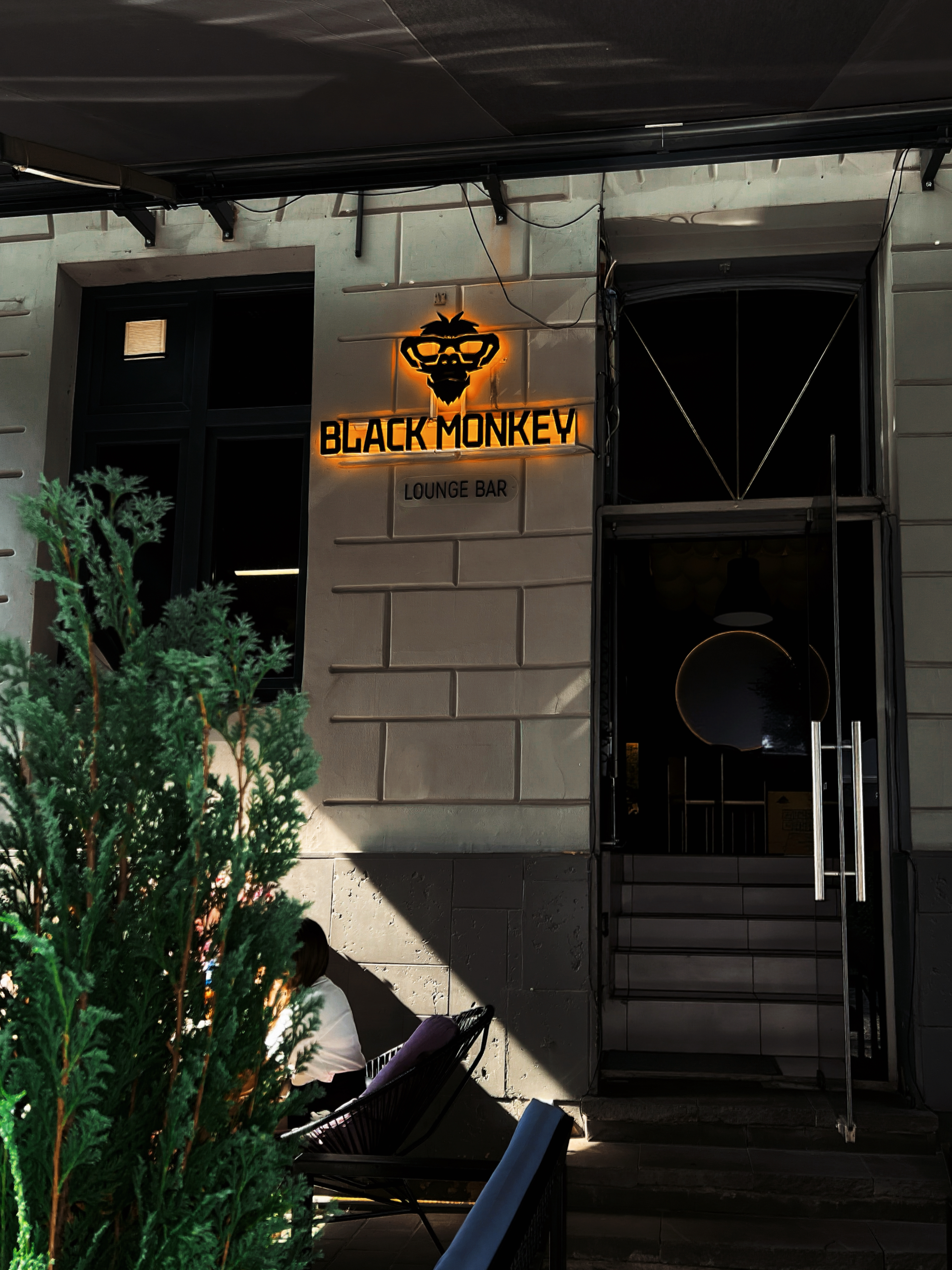 Black Monkey image 12