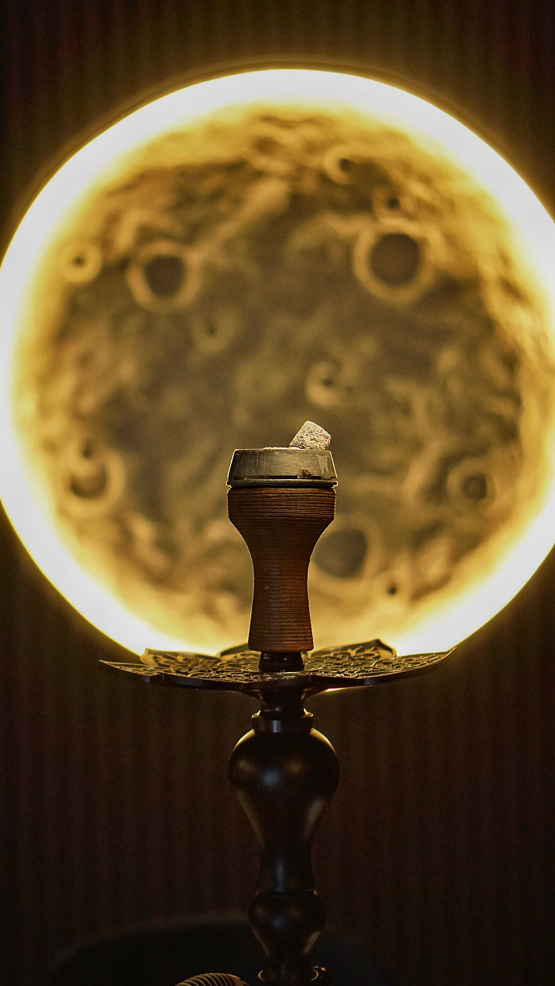 Black Monkey image 20