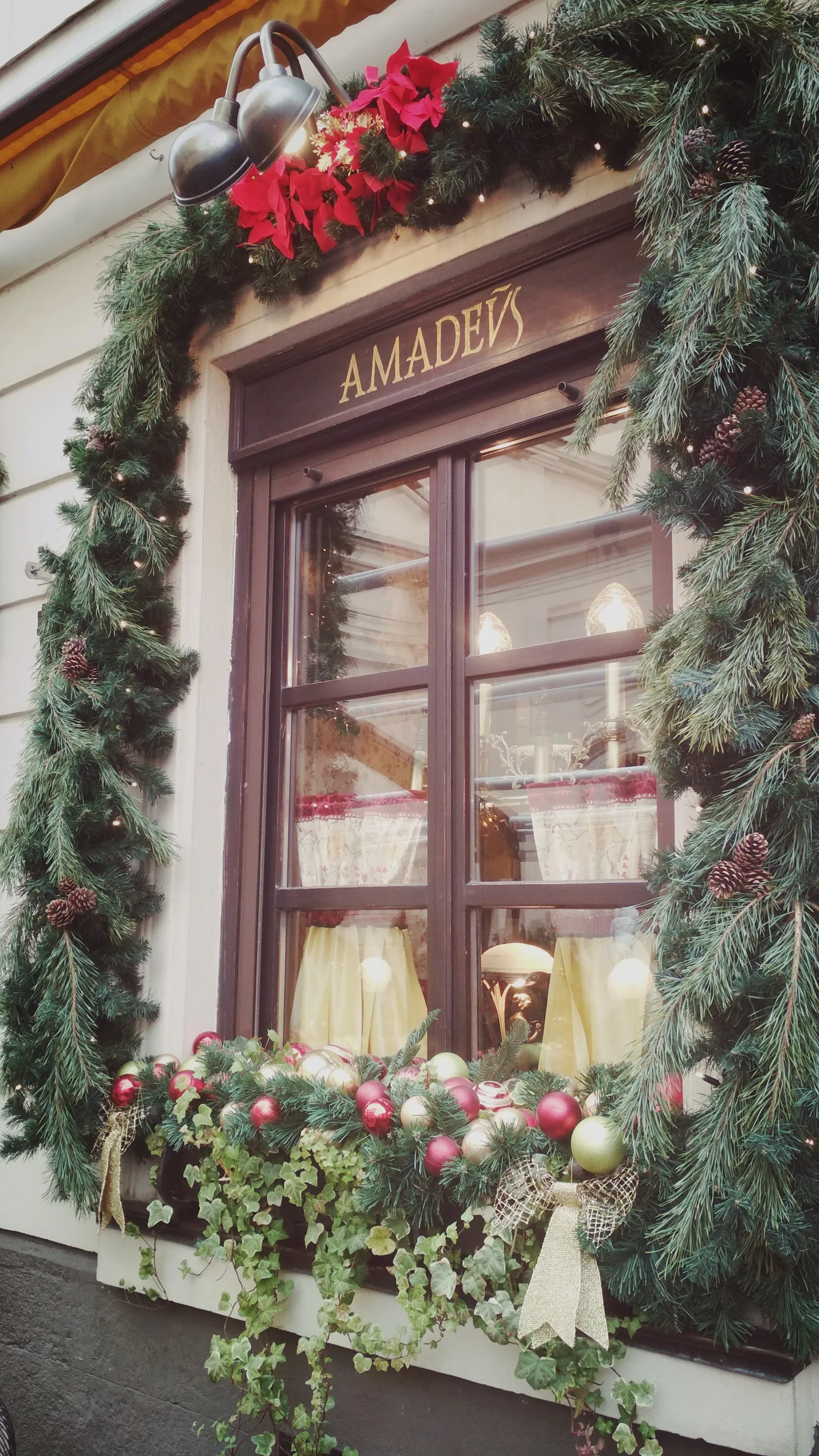 Amadeus image 15