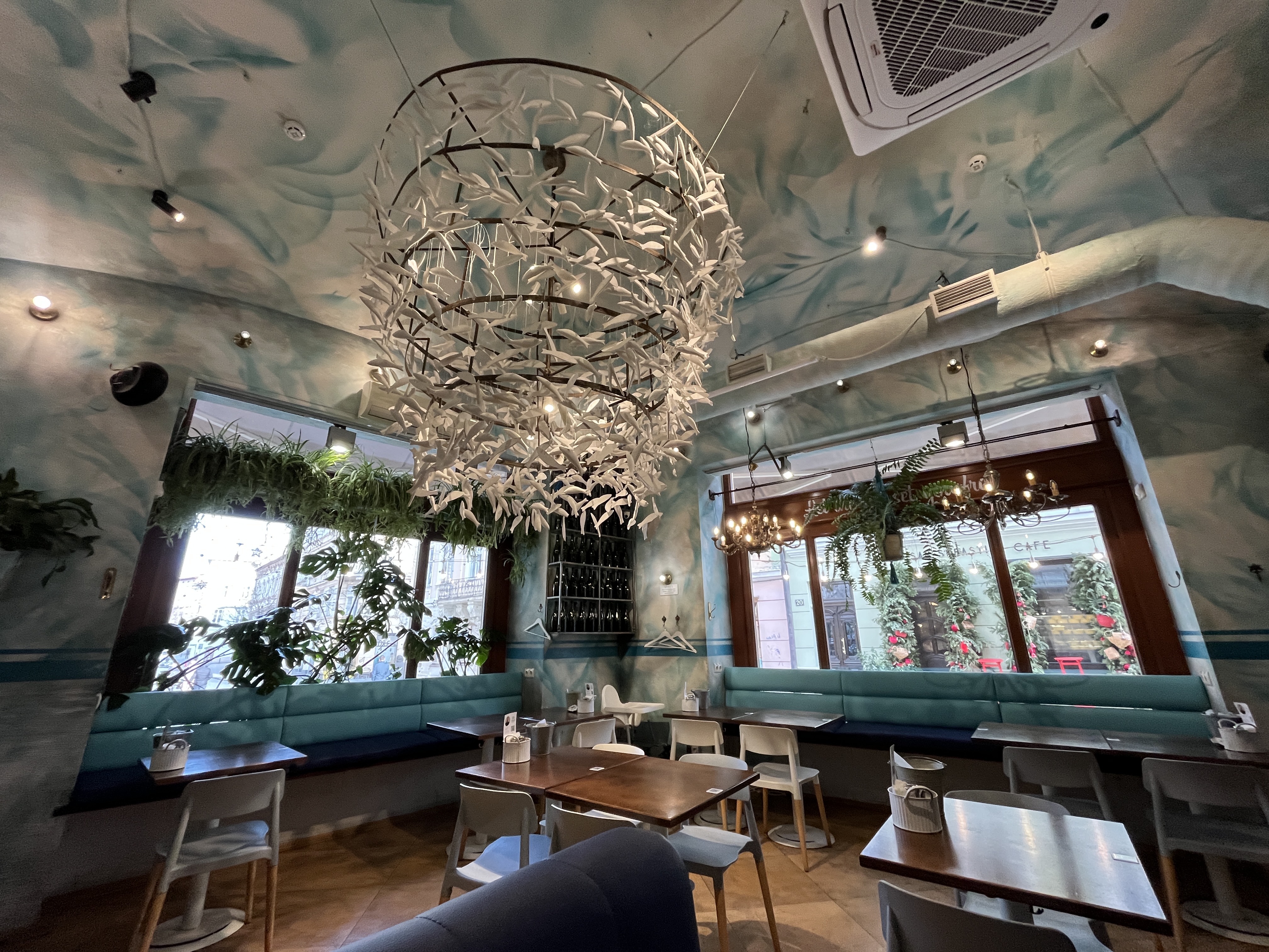 Anchousna Vid Chornomorky image 8