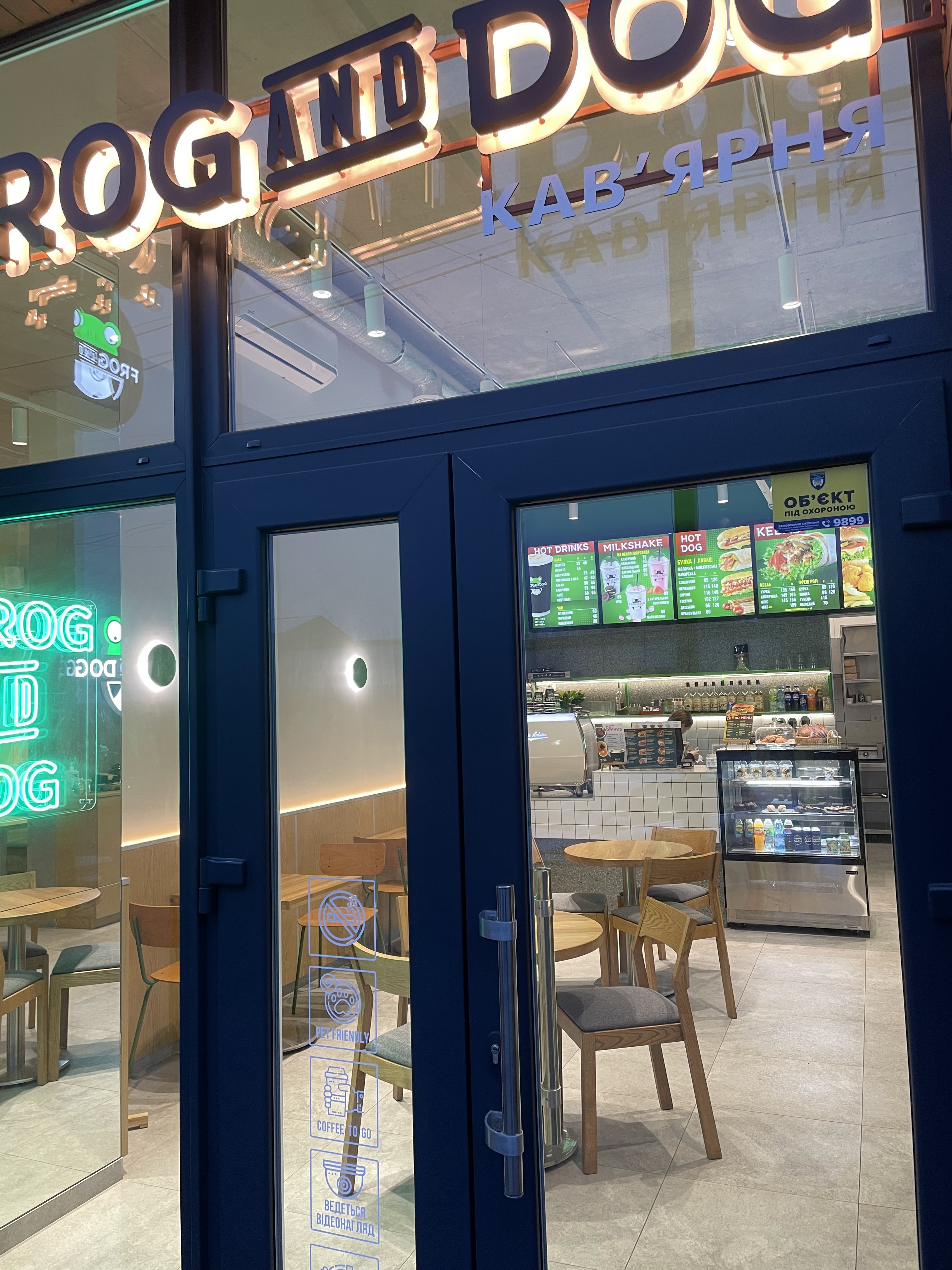 FROG AND DOG image 13