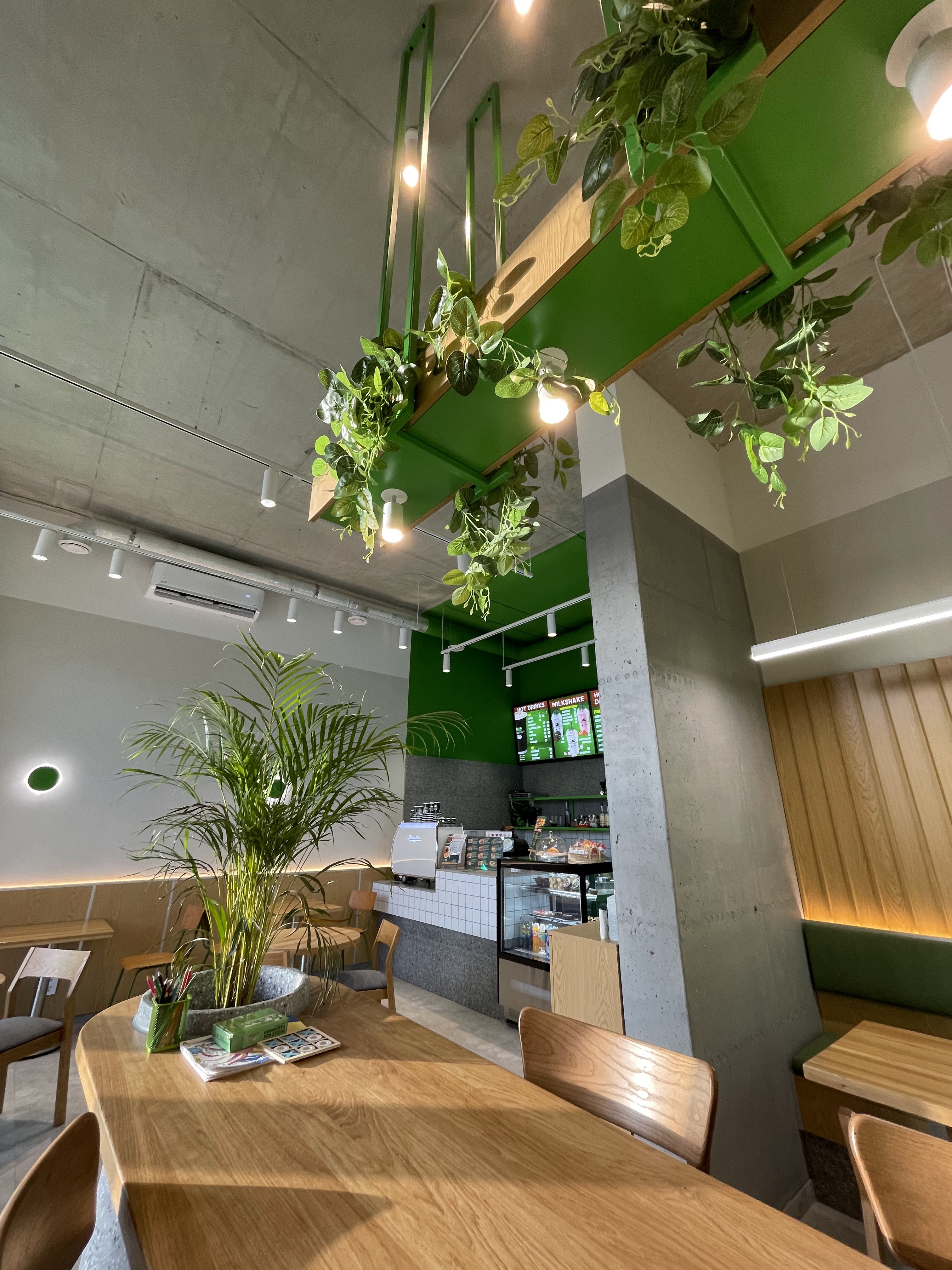 FROG AND DOG image 15