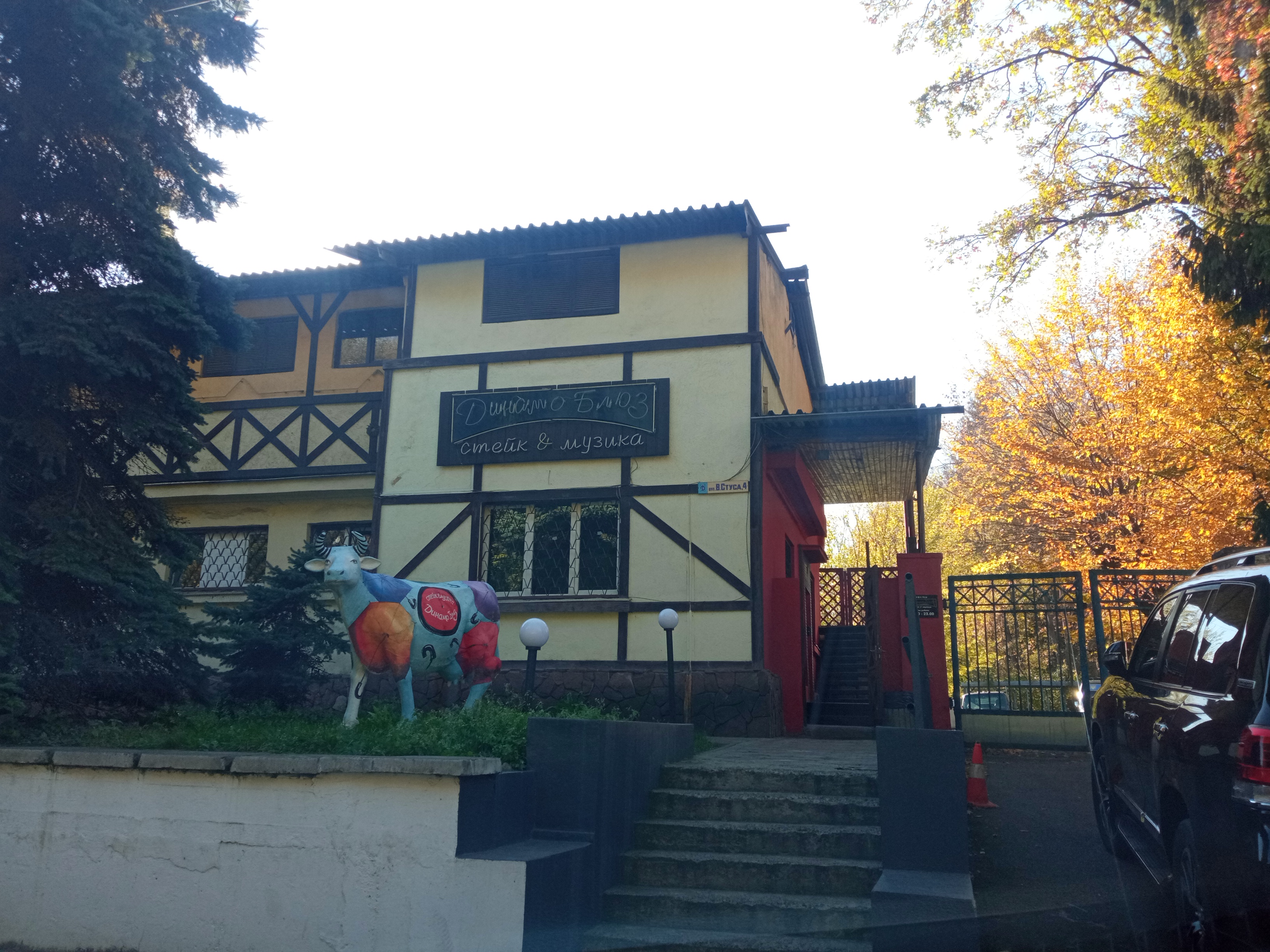 Dynamo Blues image 14