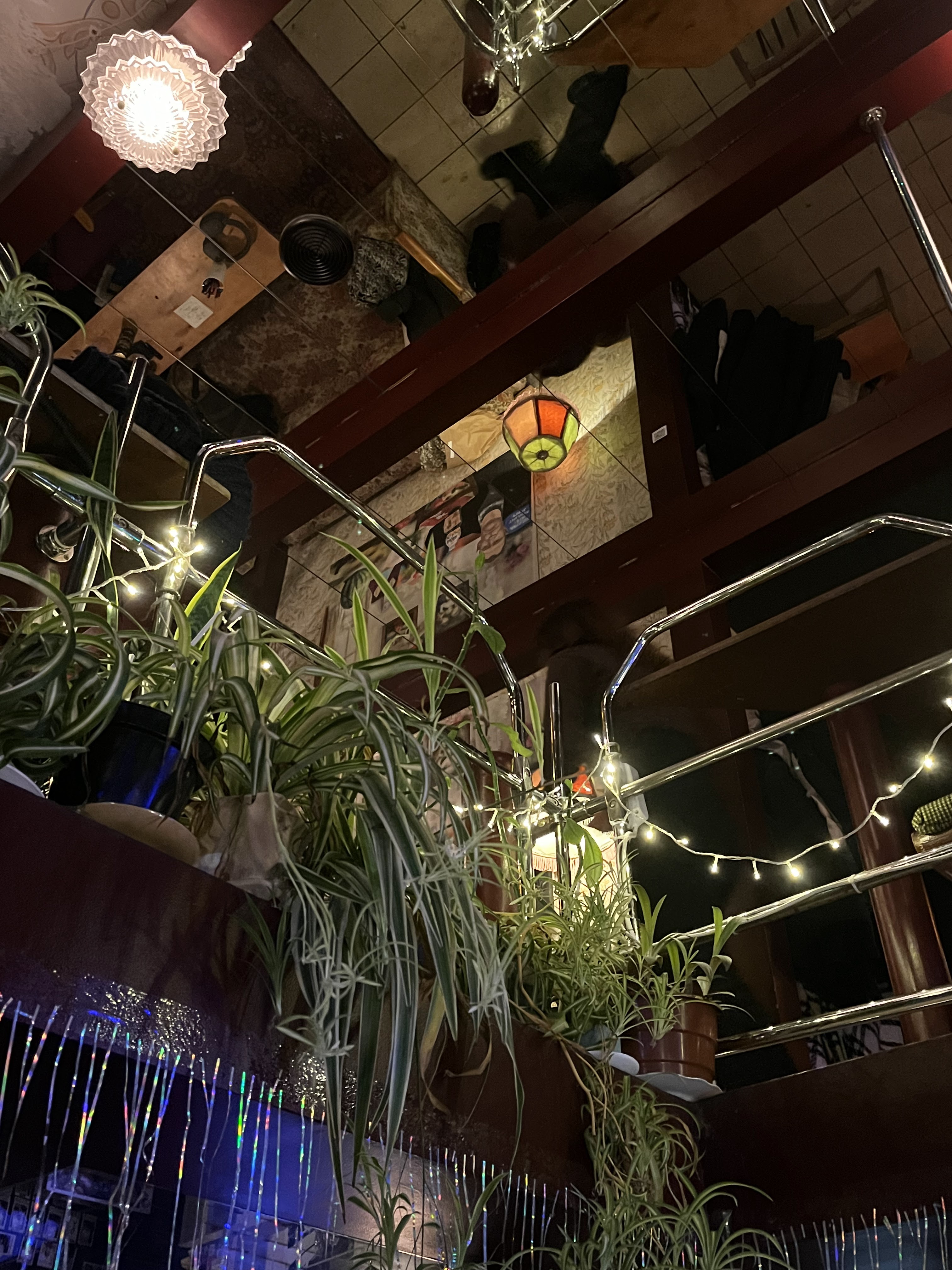 Травень image 10