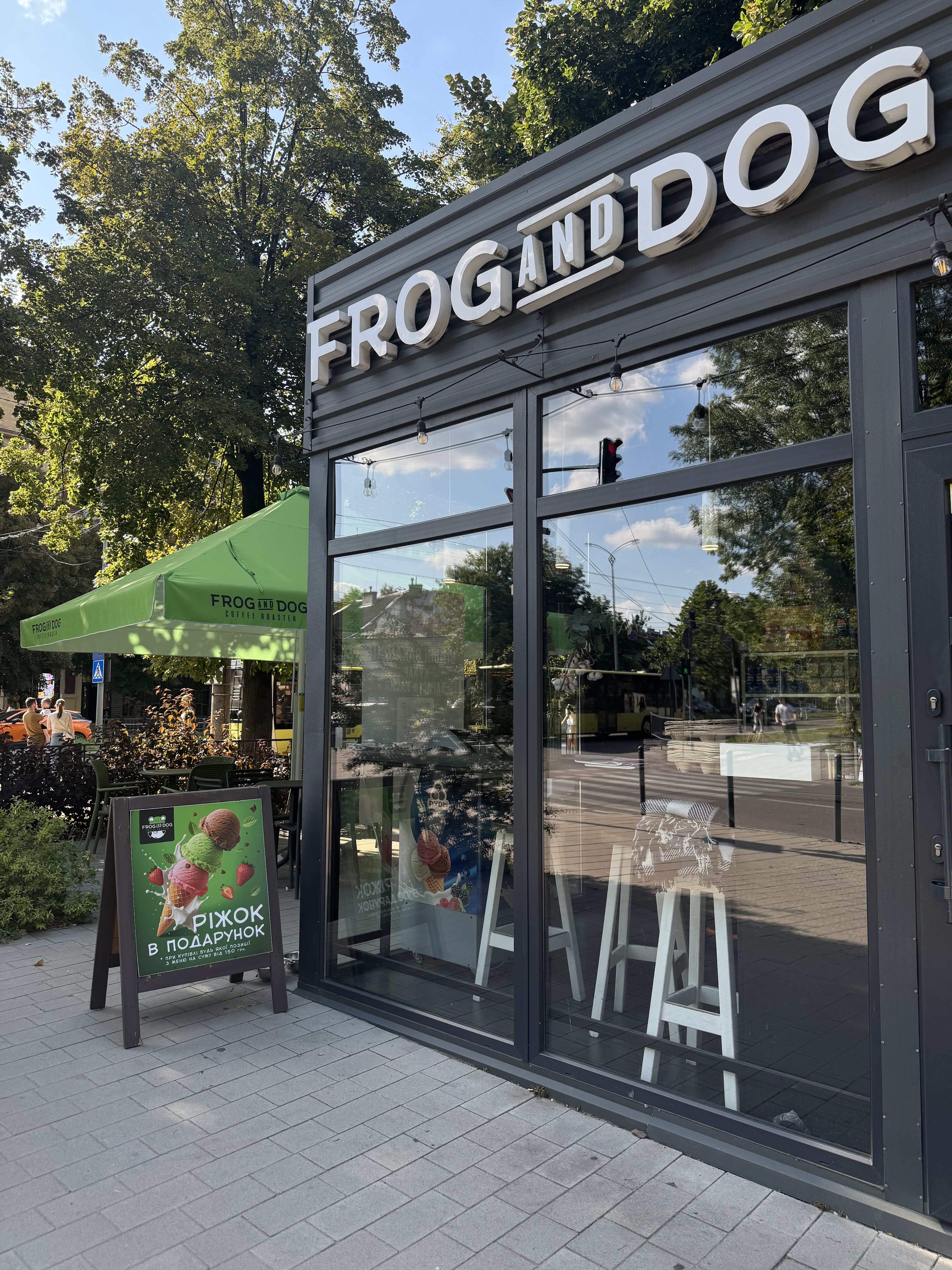 FROG AND DOG image 16