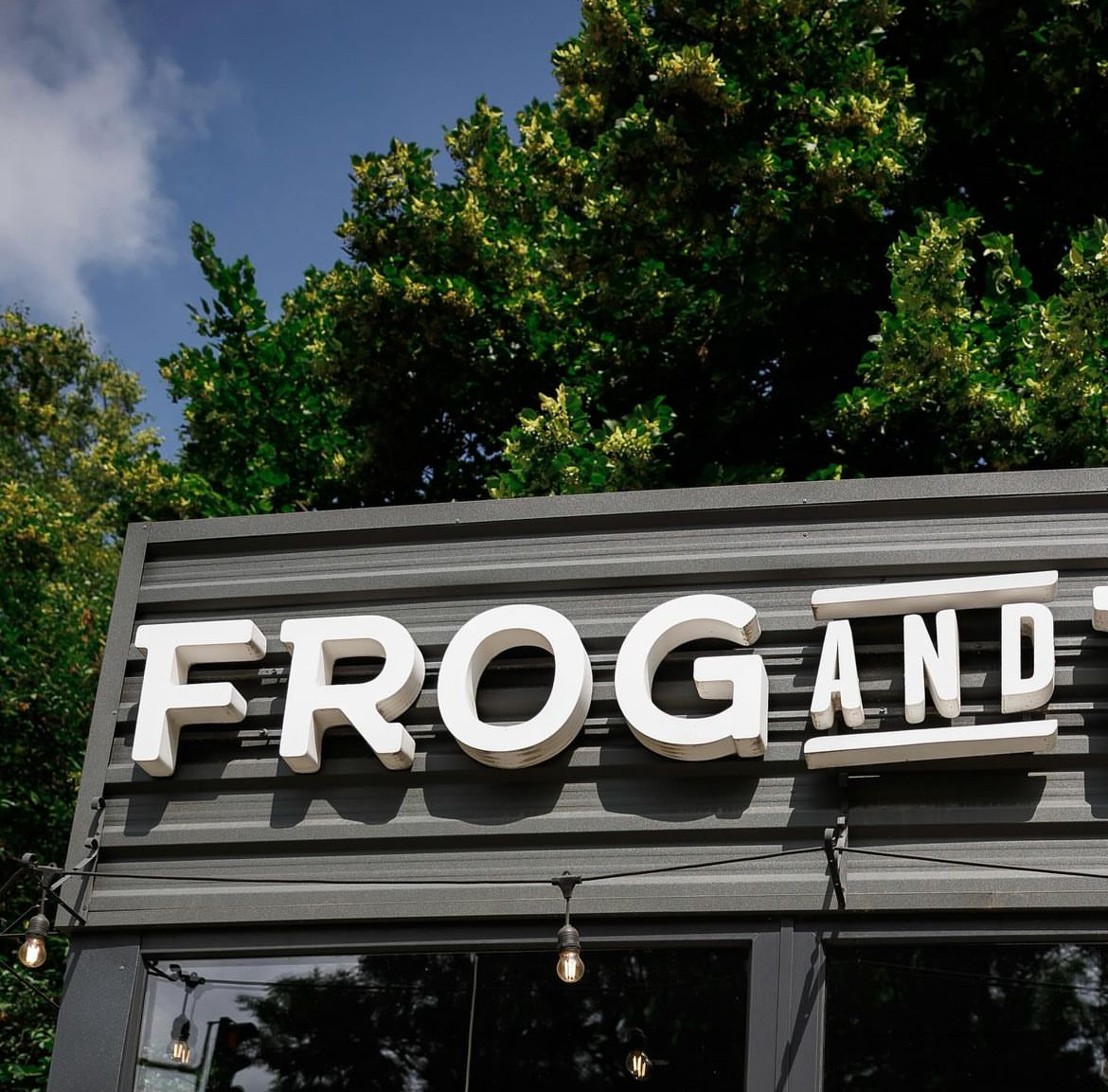 FROG AND DOG image 19