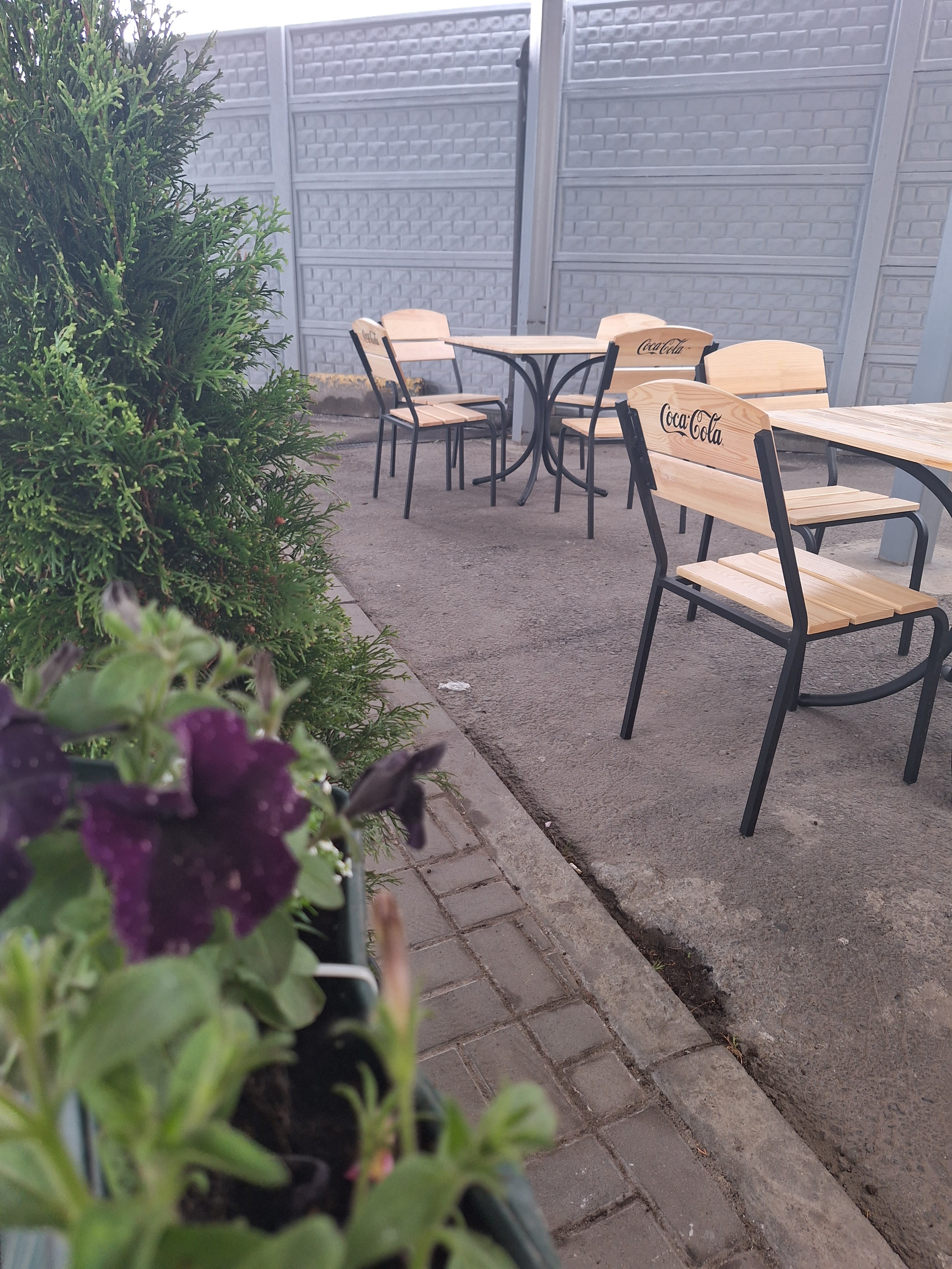 Cafe-pizzeria "Domino" image 11