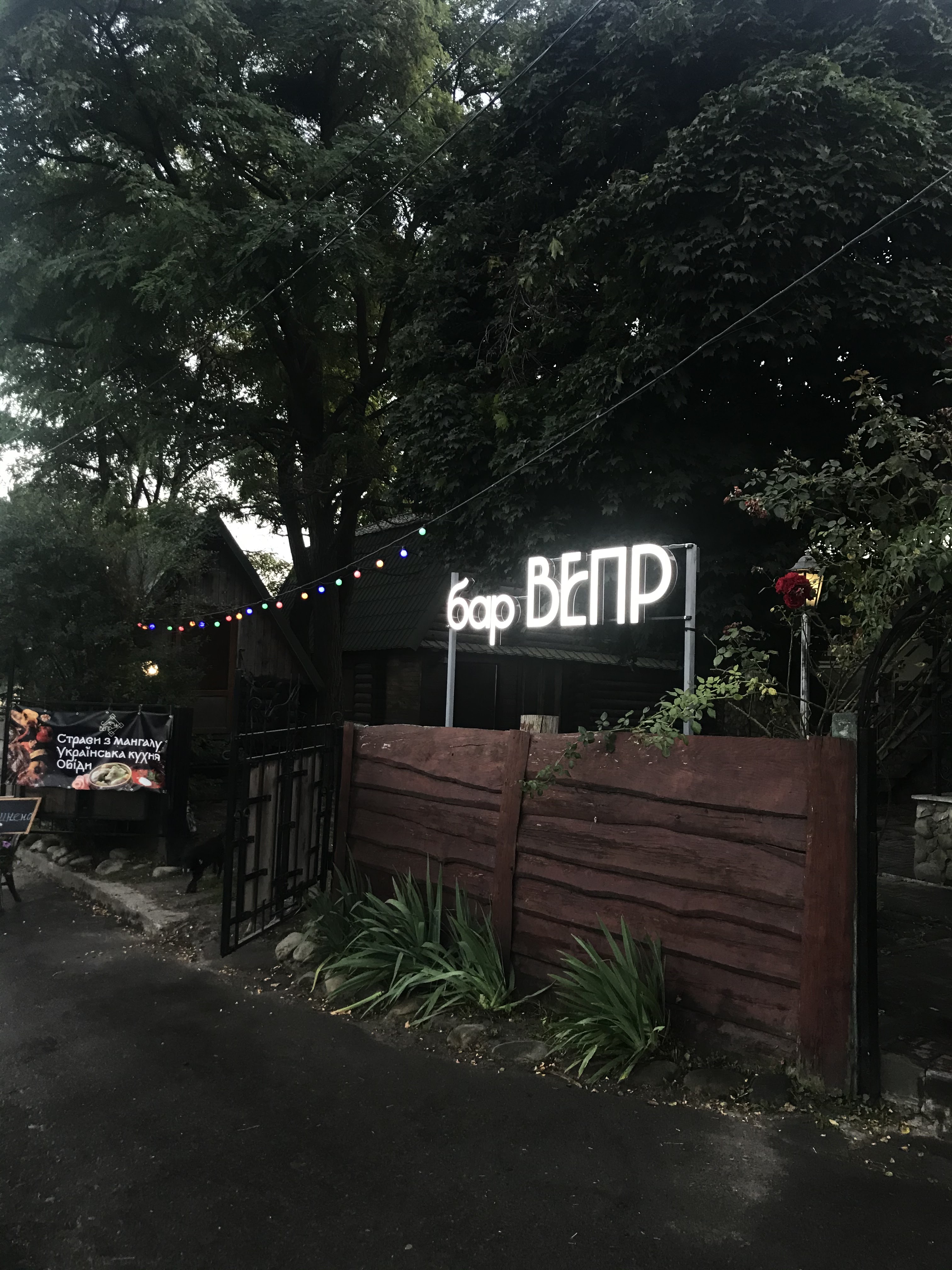 Bar Vepr image 15