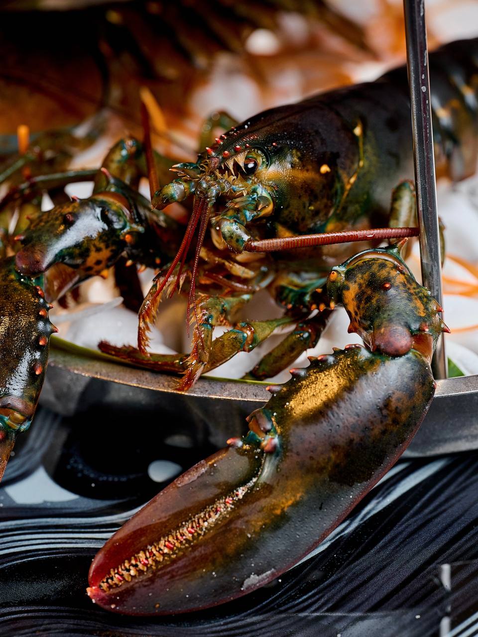 MAMMA MIA KARAOKE BAR image 20