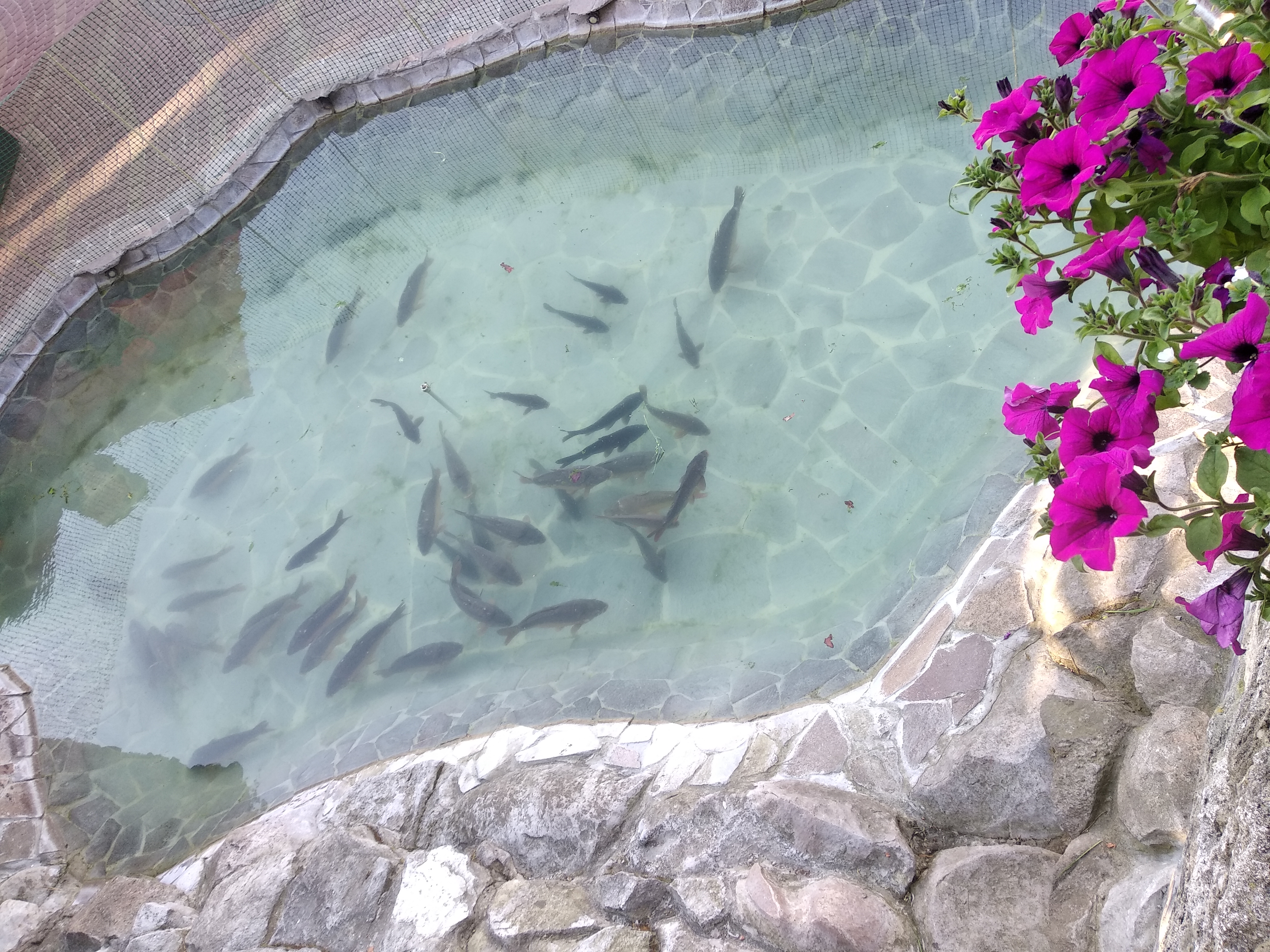 Khata Melʹnyka image 19