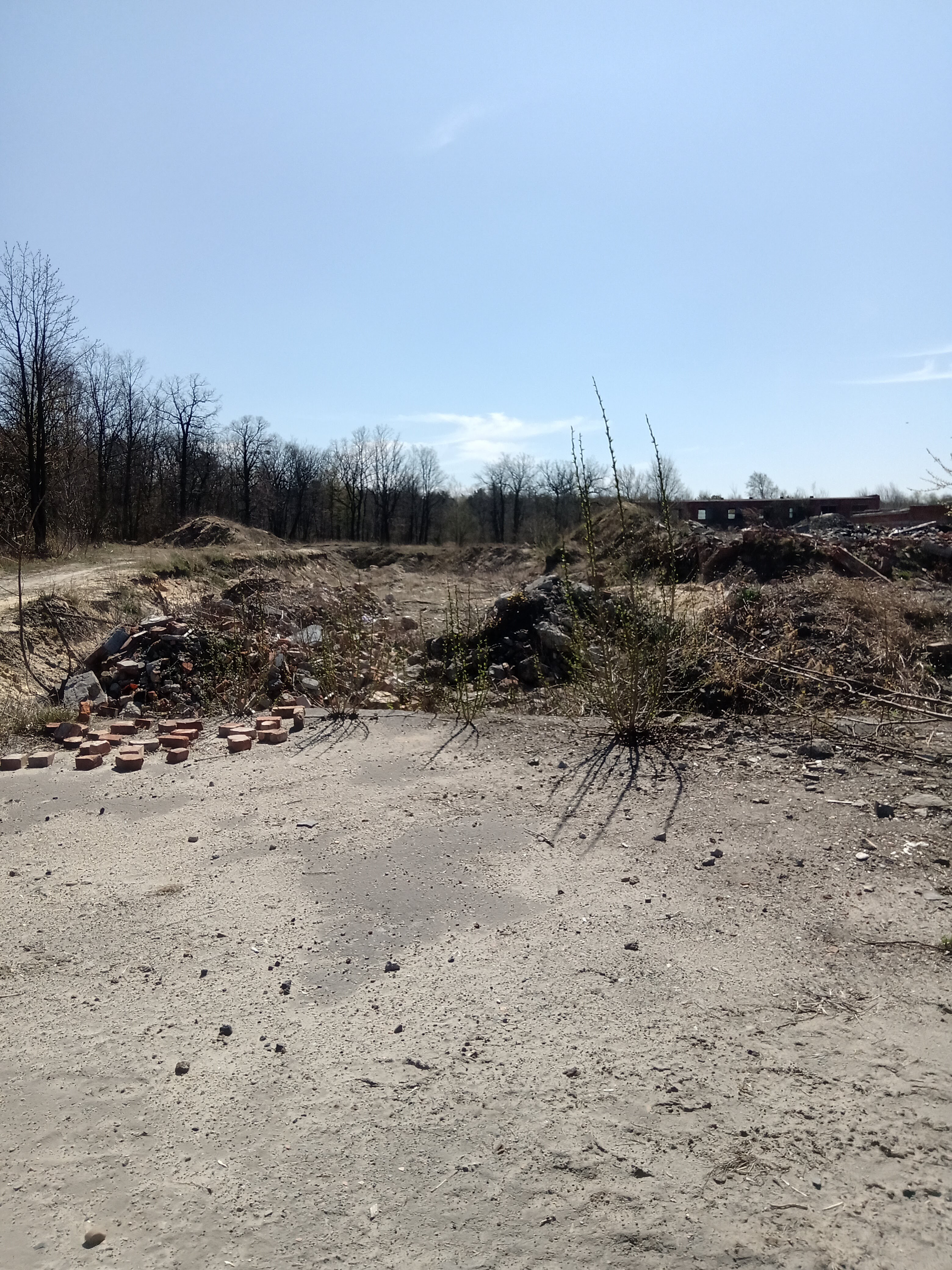 Jaroslav Cafe image 6