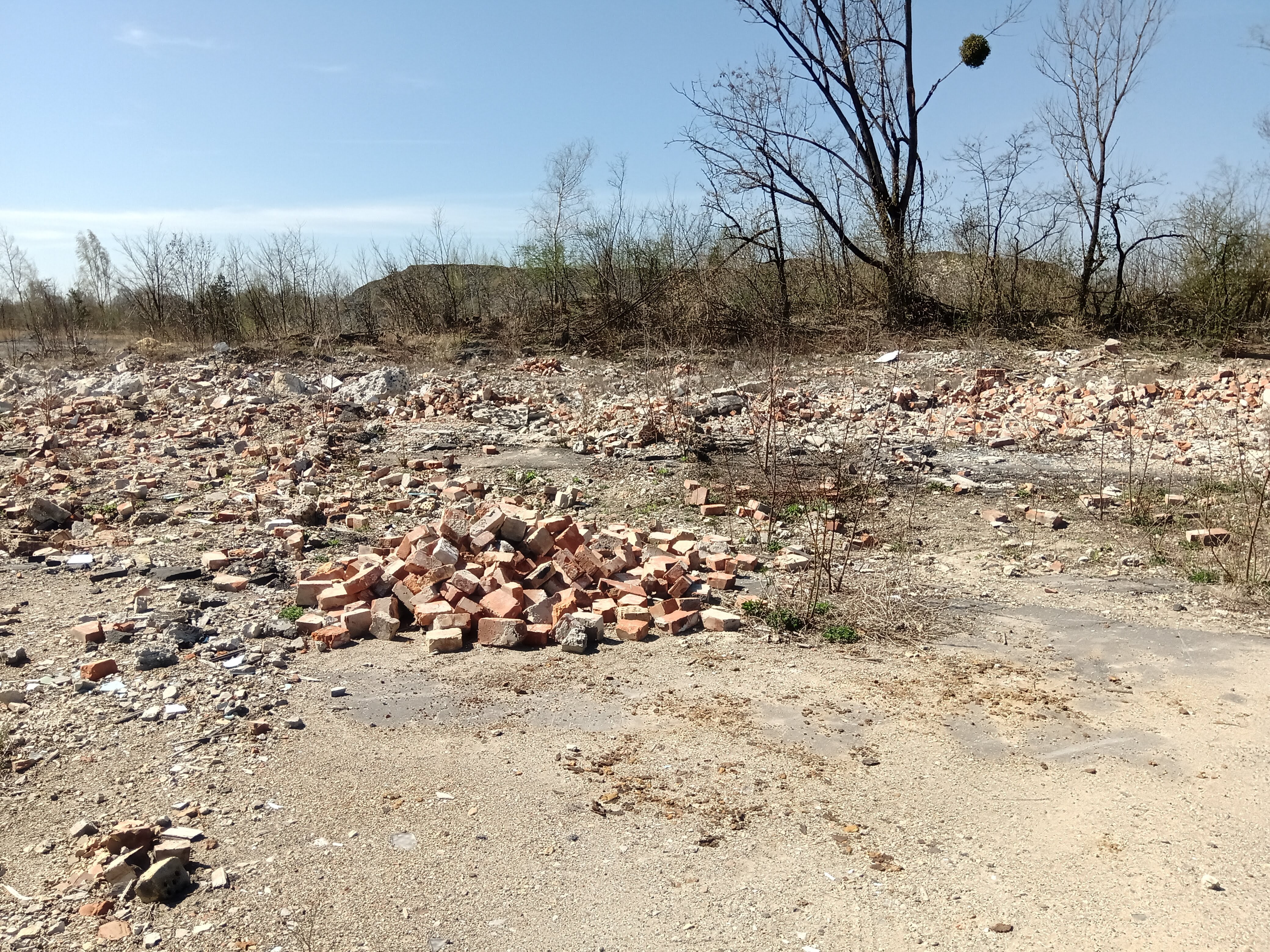 Jaroslav Cafe image 9