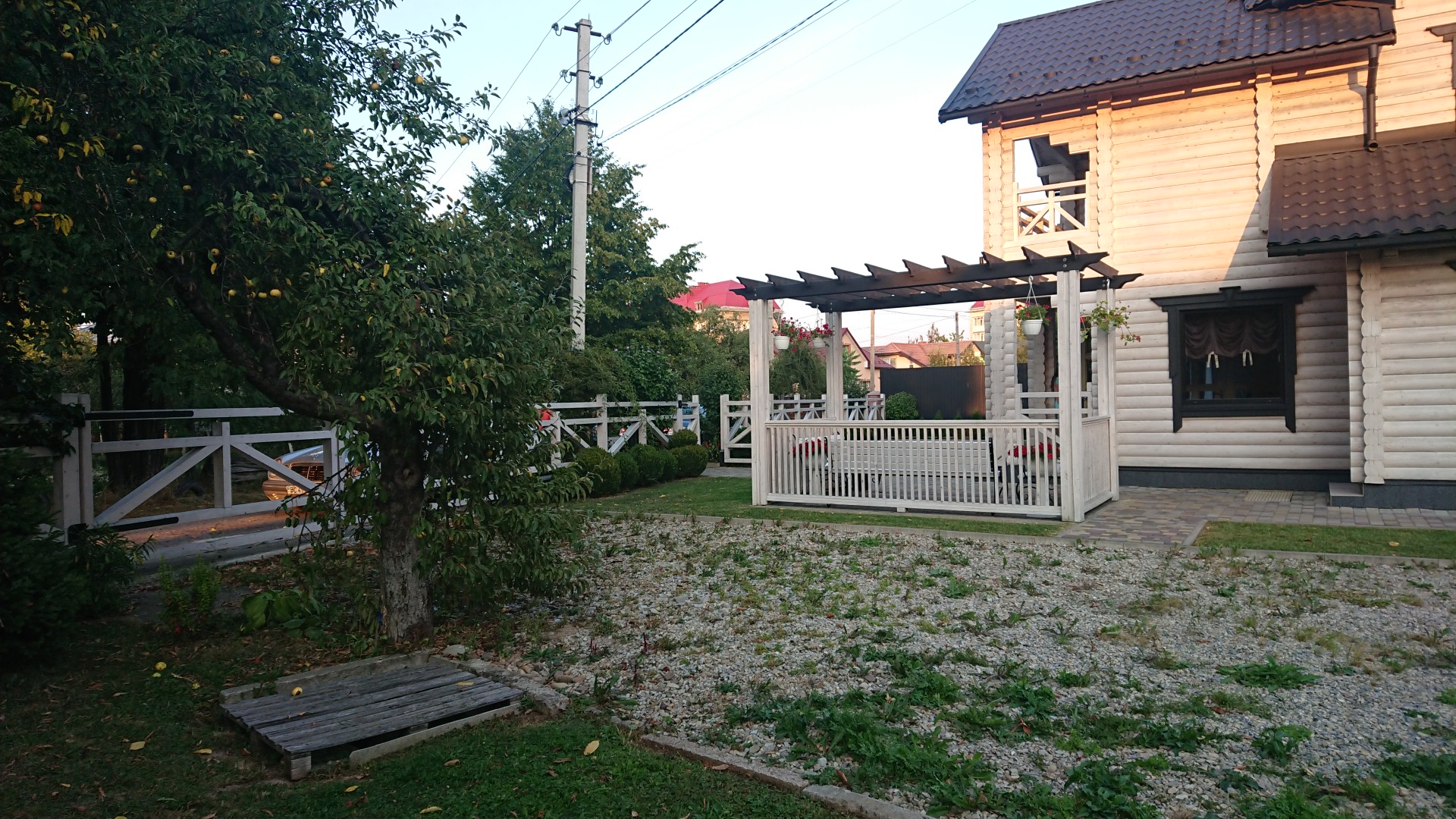 Старий сад - Old Orchard image 15