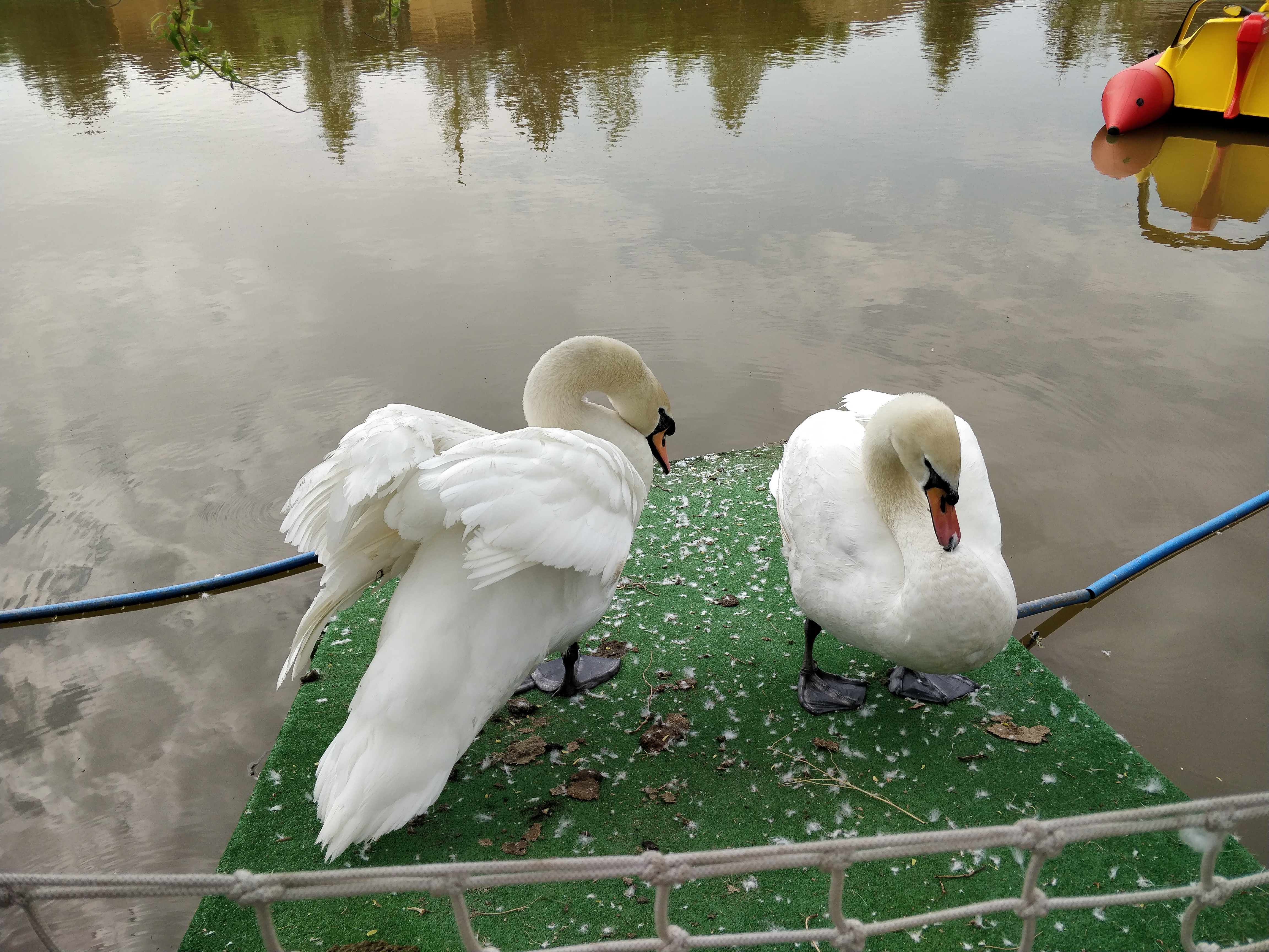 FAZENDA family park image 18