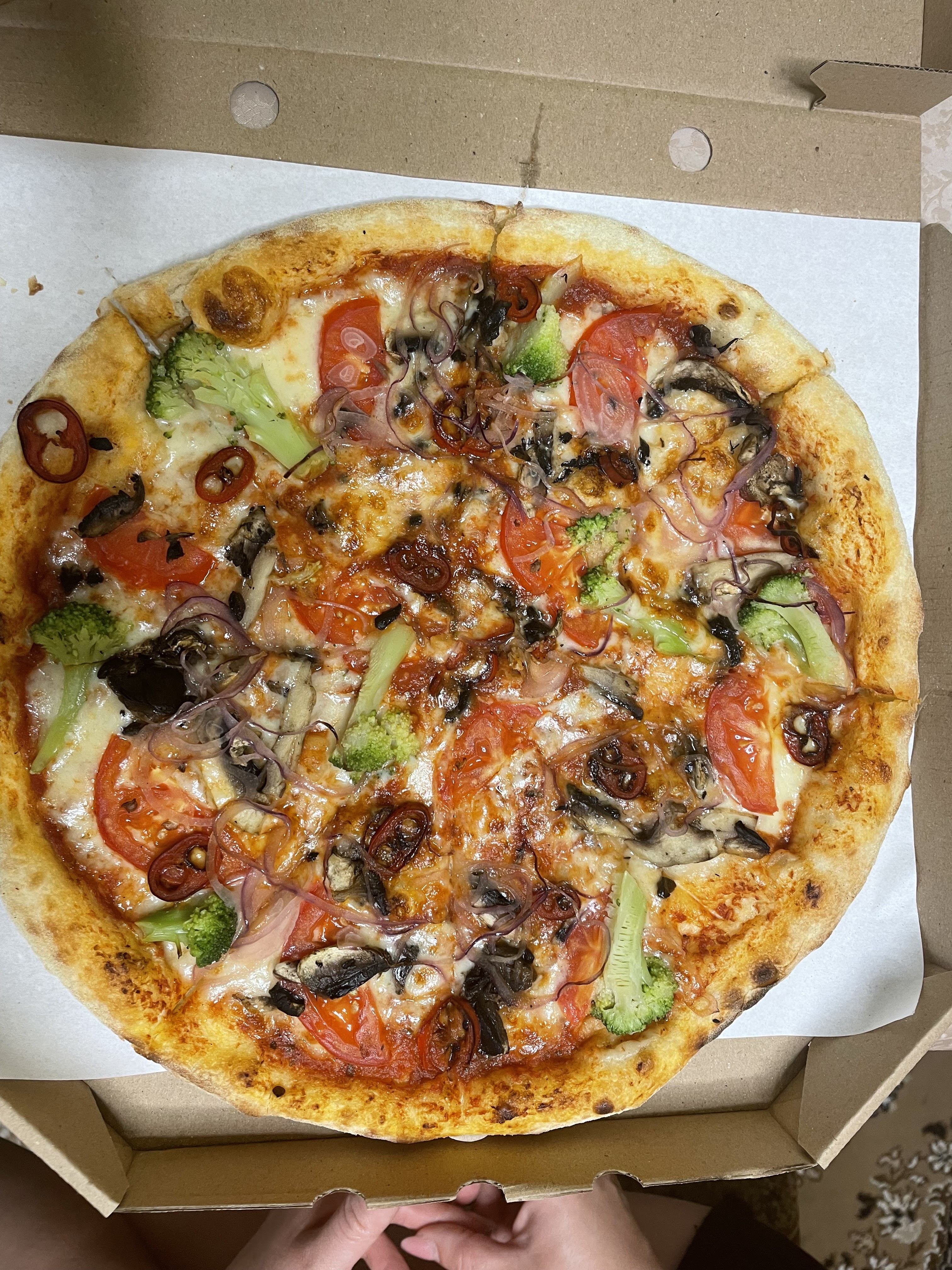 Wolf_Pizza.IF image 11