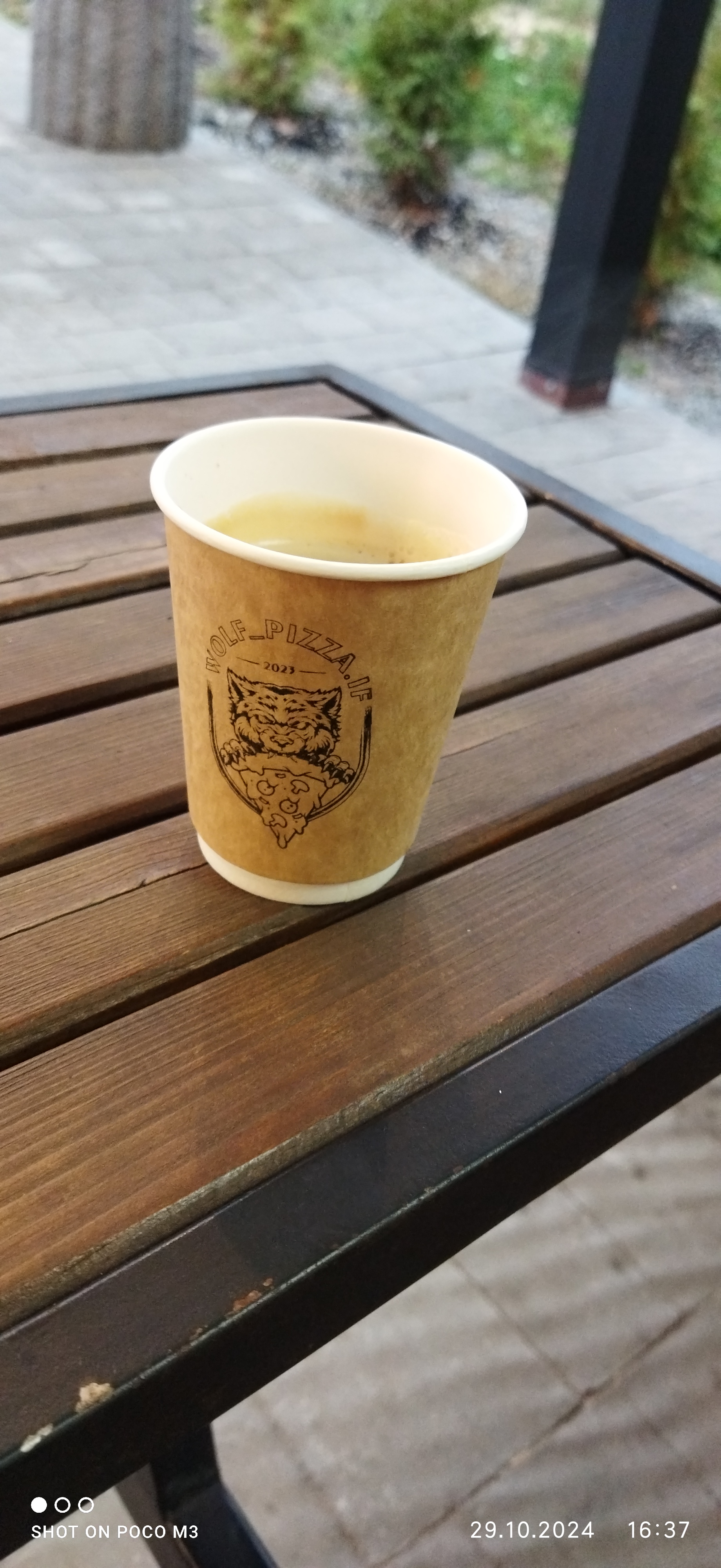 Wolf_Pizza.IF image 19