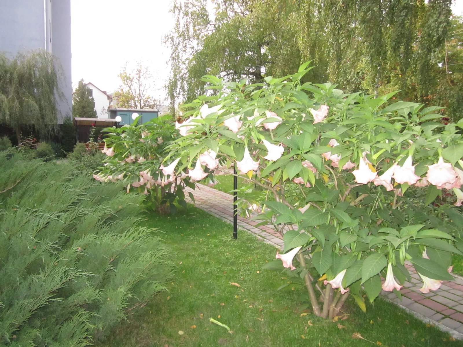 Yuvileynyy image 17