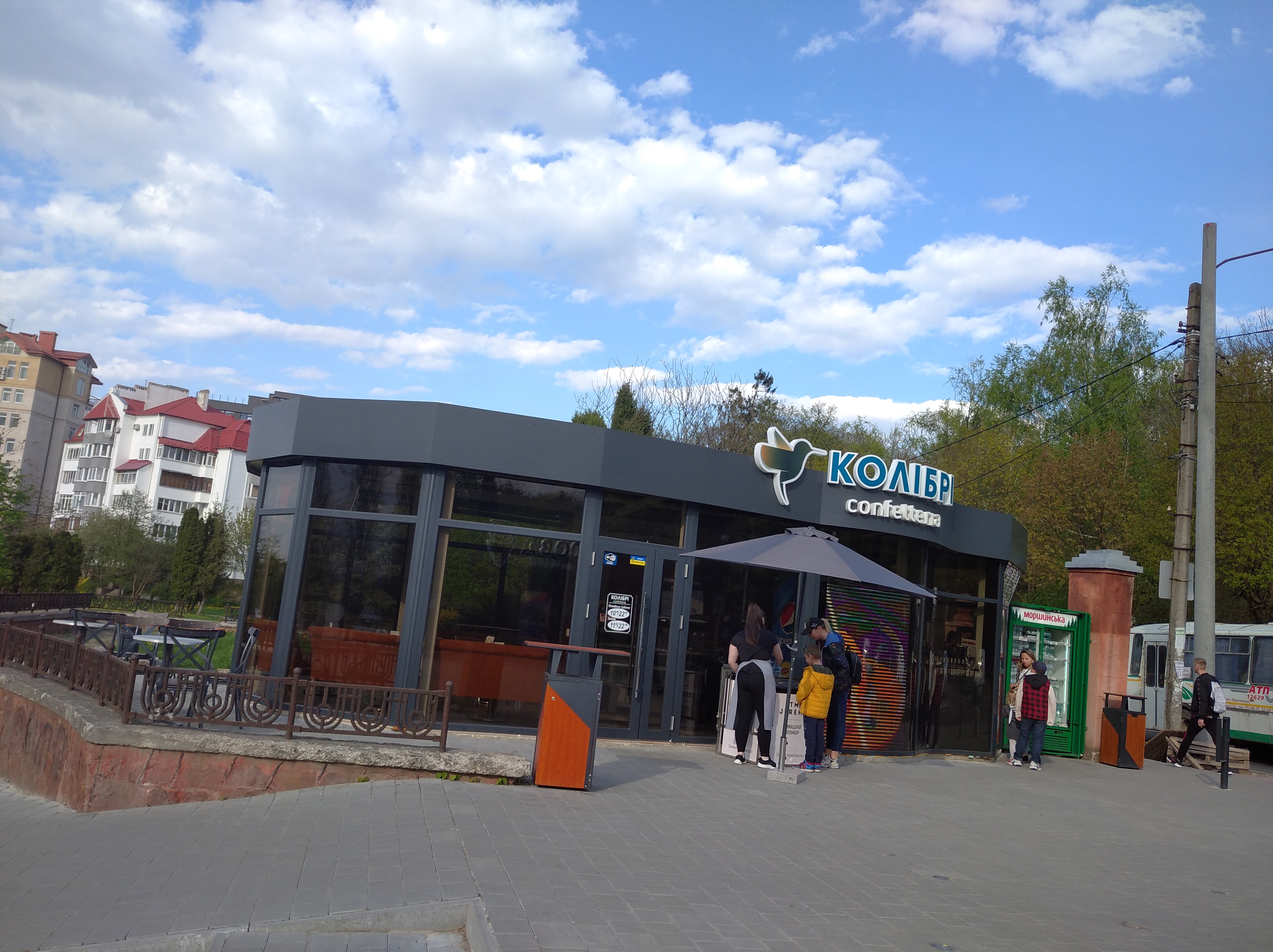 Колібрі image 15