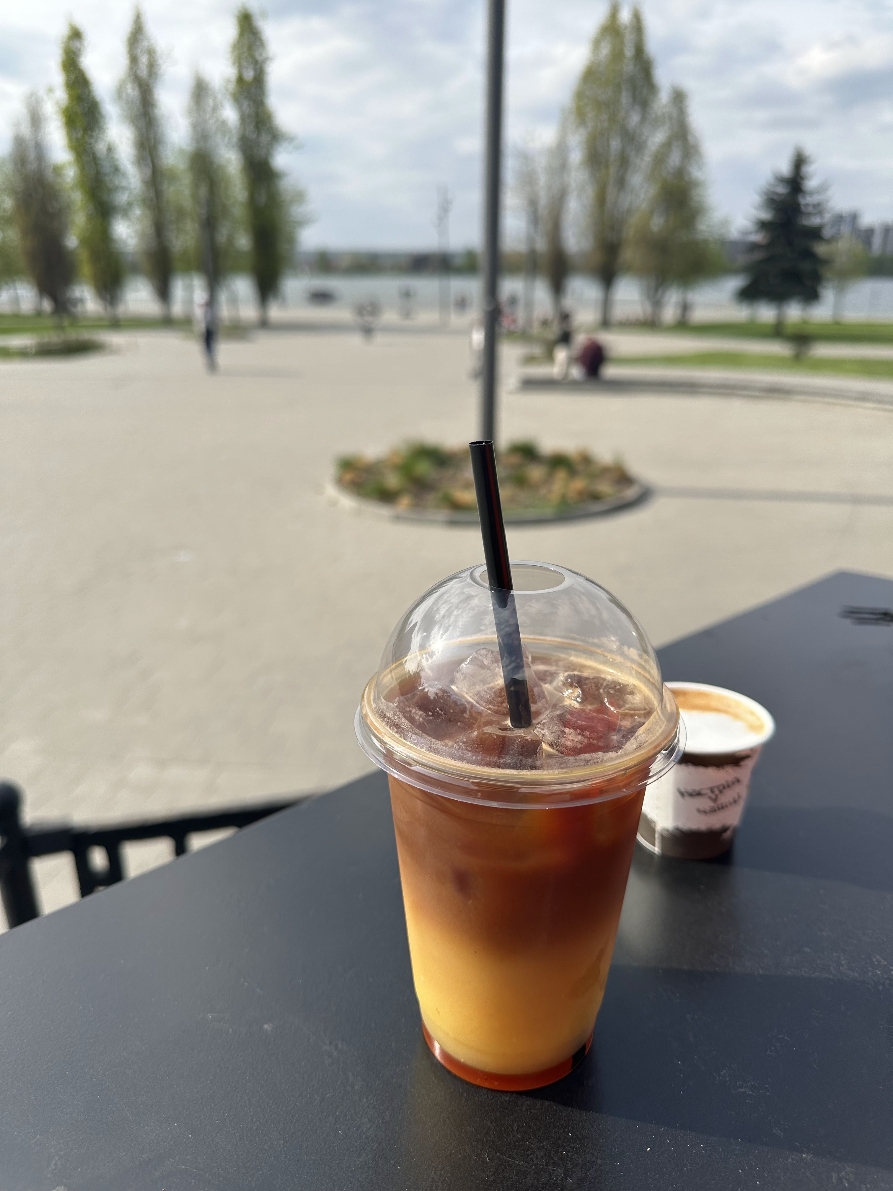 Колібрі image 18