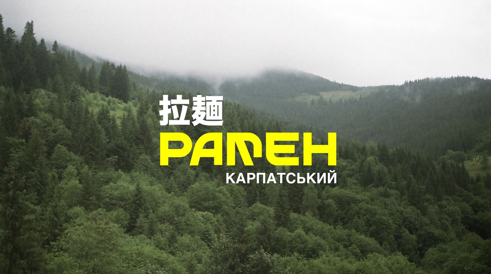 РАМЕН КАРПАТСЬКИЙ image 12