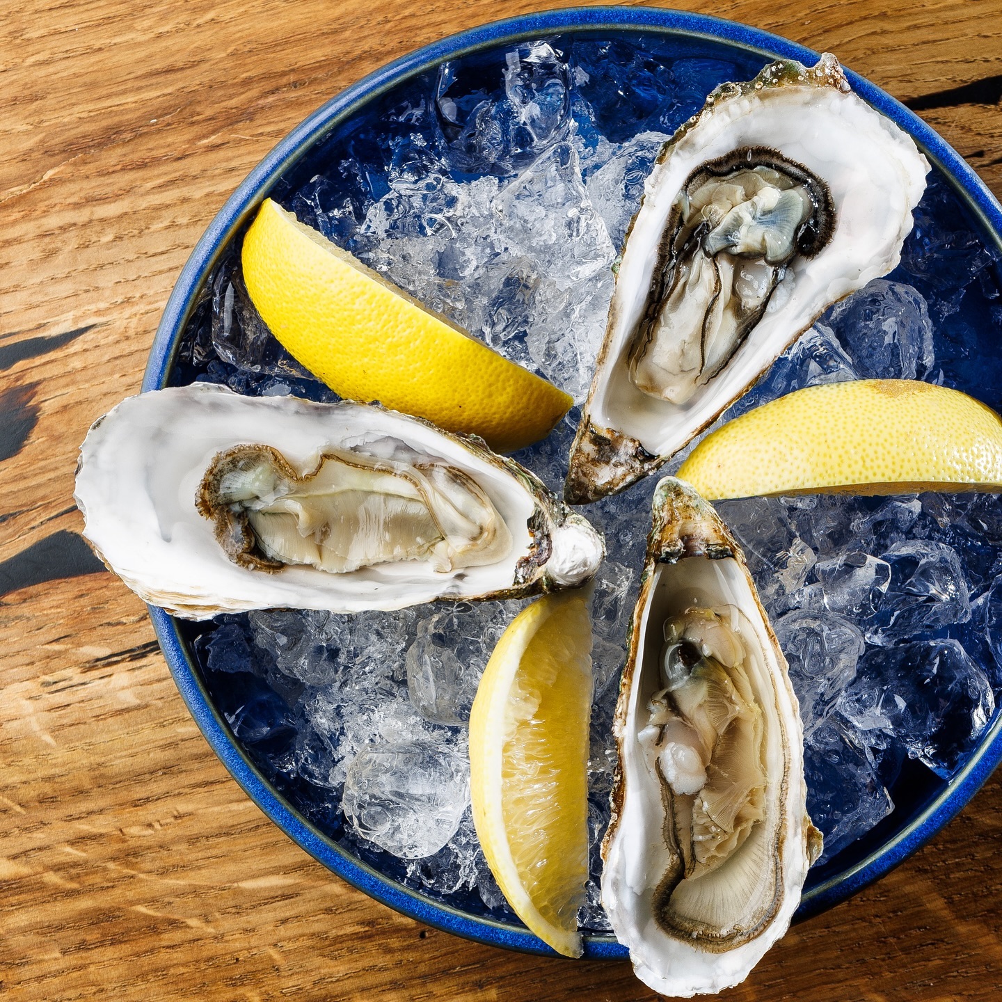 Fish, Please image 15