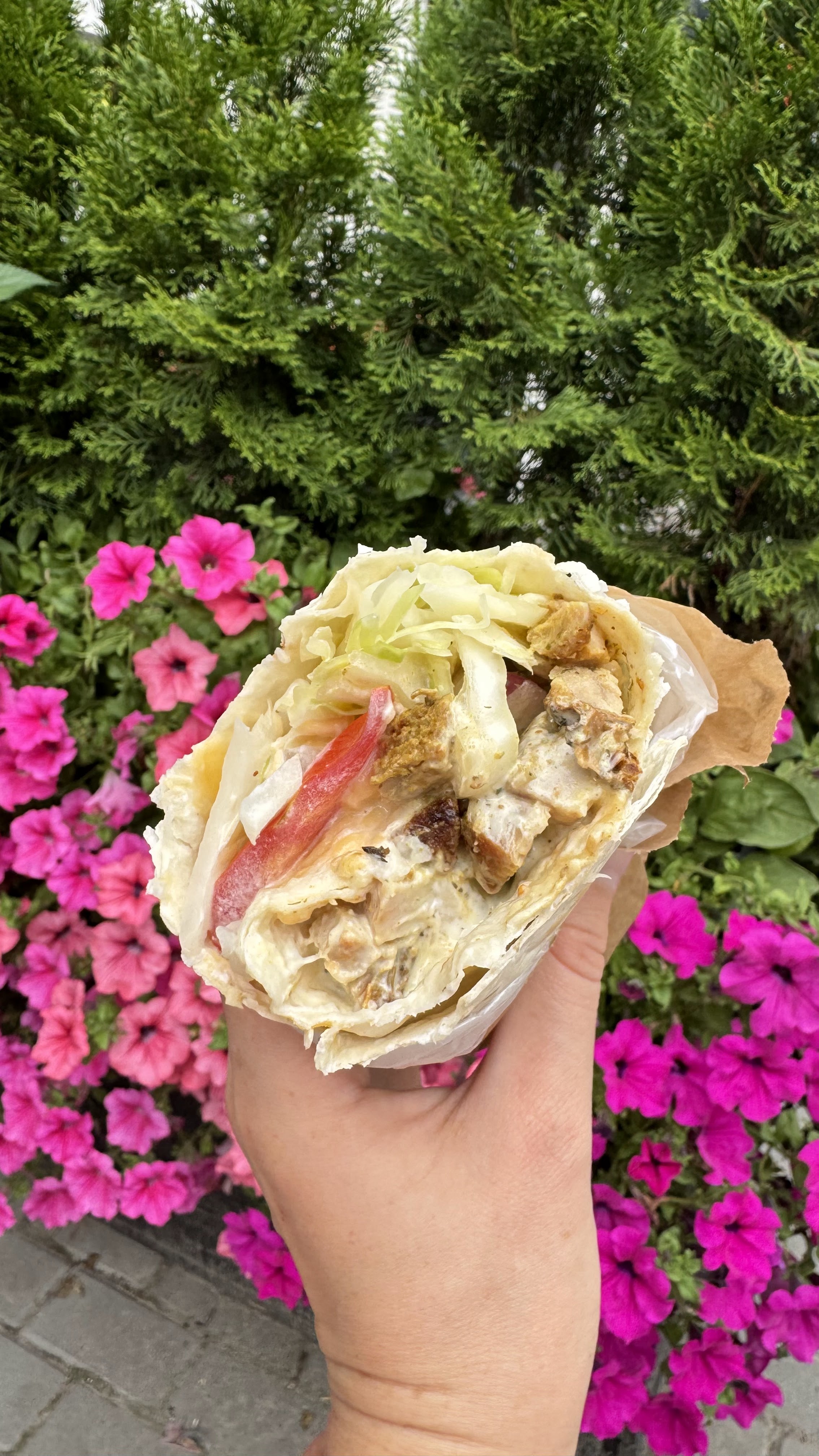 Sokovytyy Kebab image 15