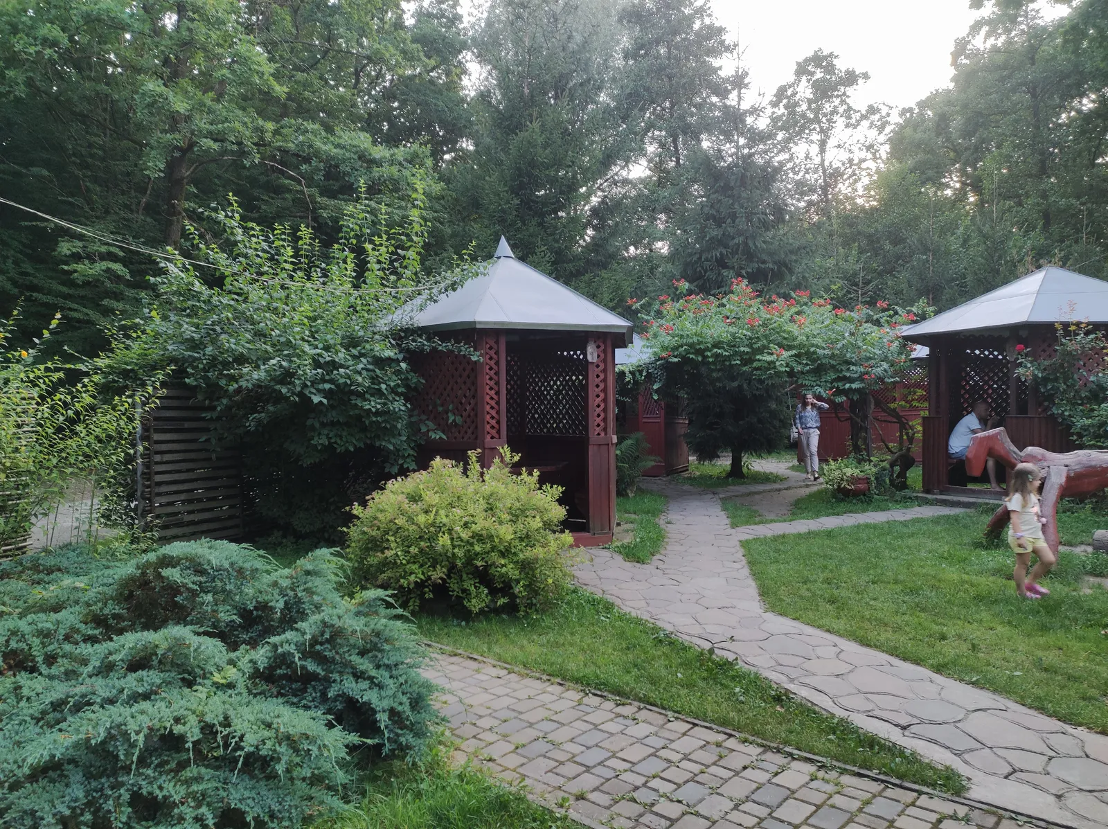 Shershenʹ image 16