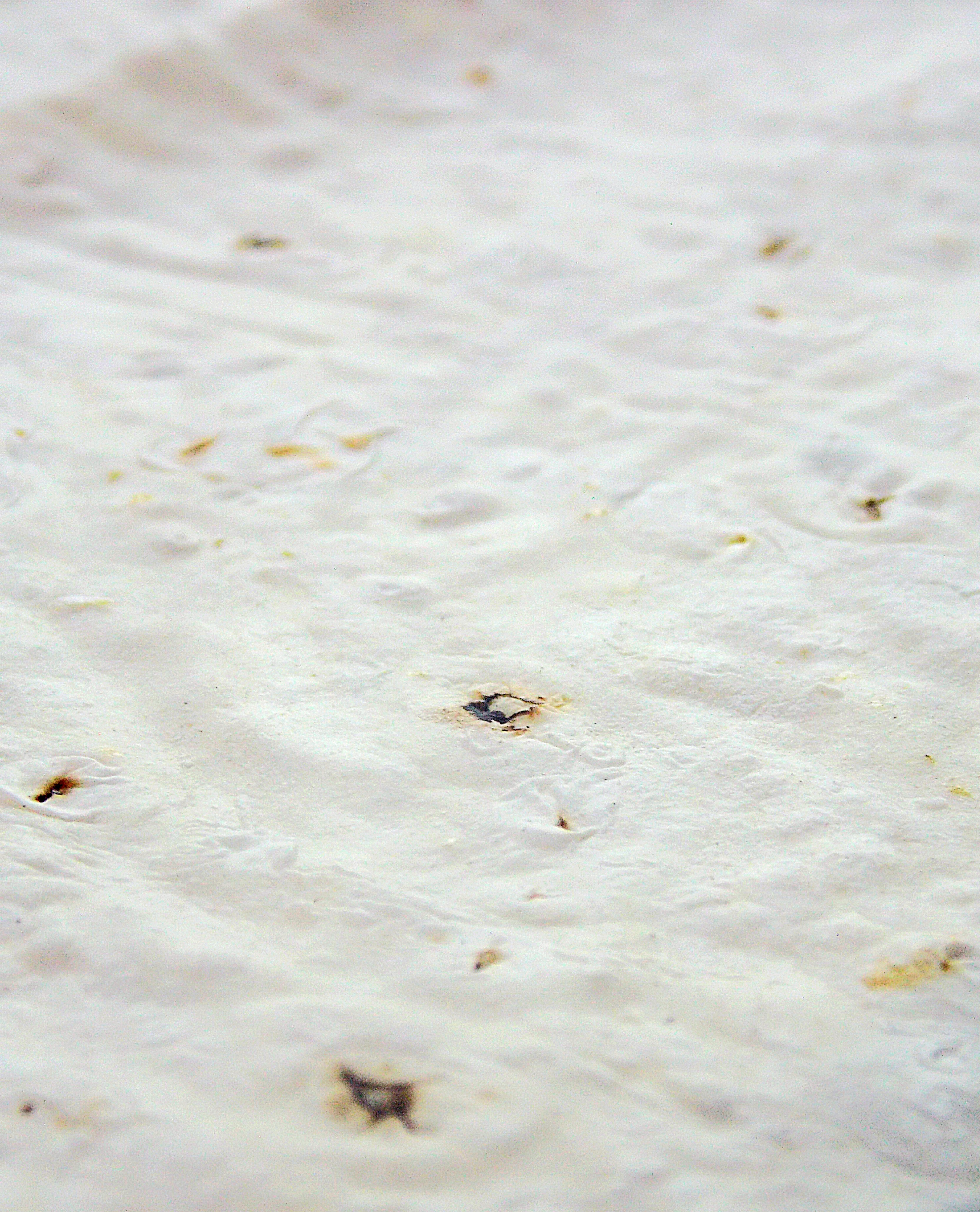 Smachni Chebureky image 20