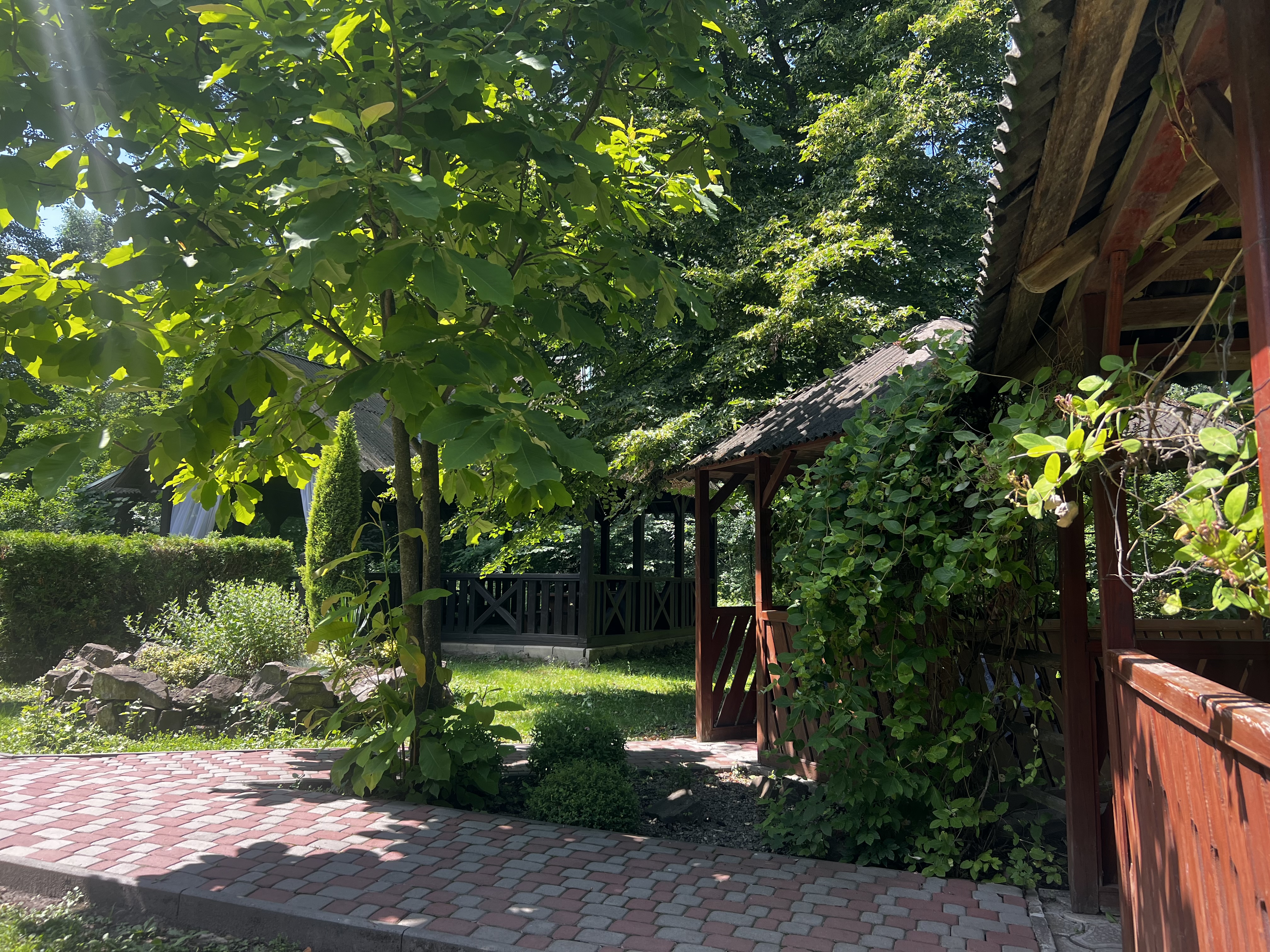 ОЧЕРЕТ image 19