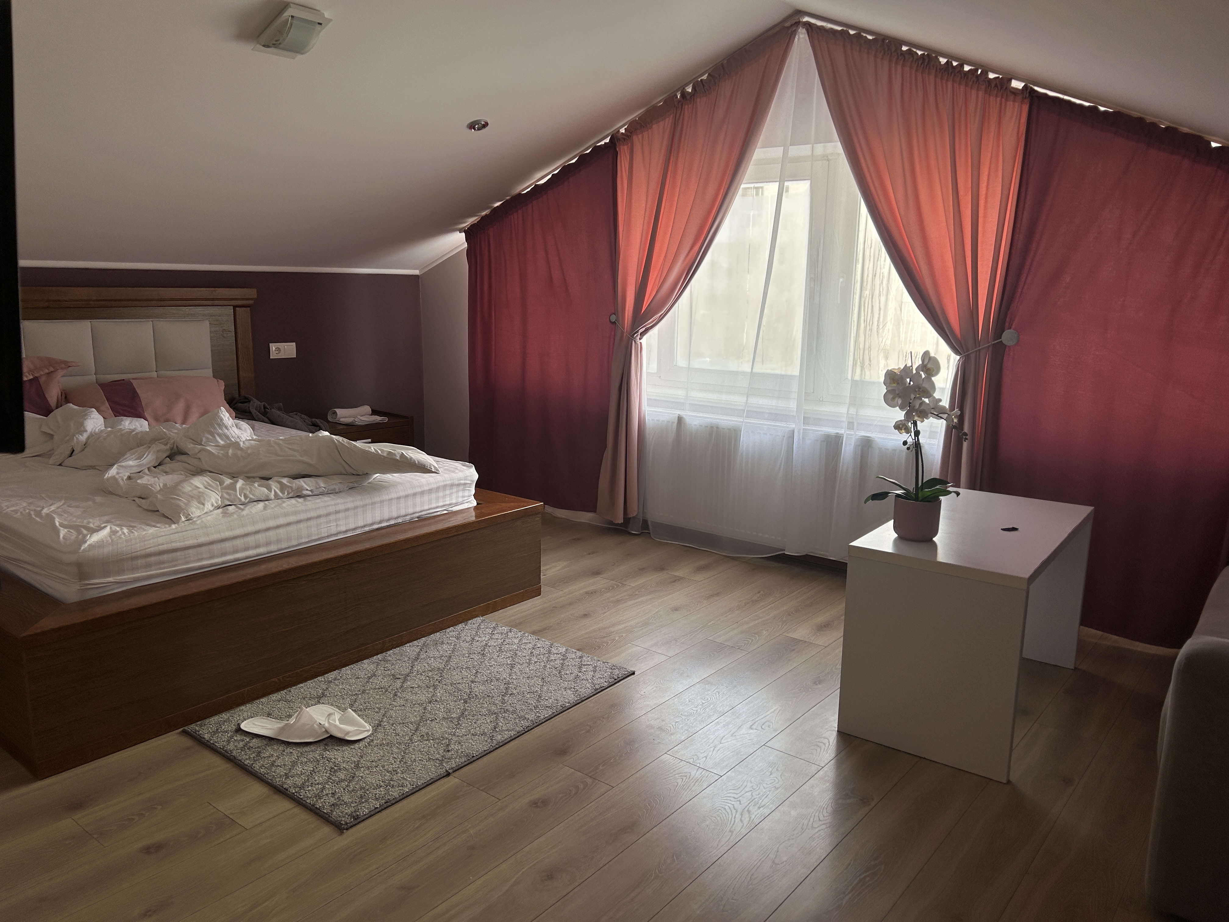 Restoran-Hotelʹ Skhidnyy image 16