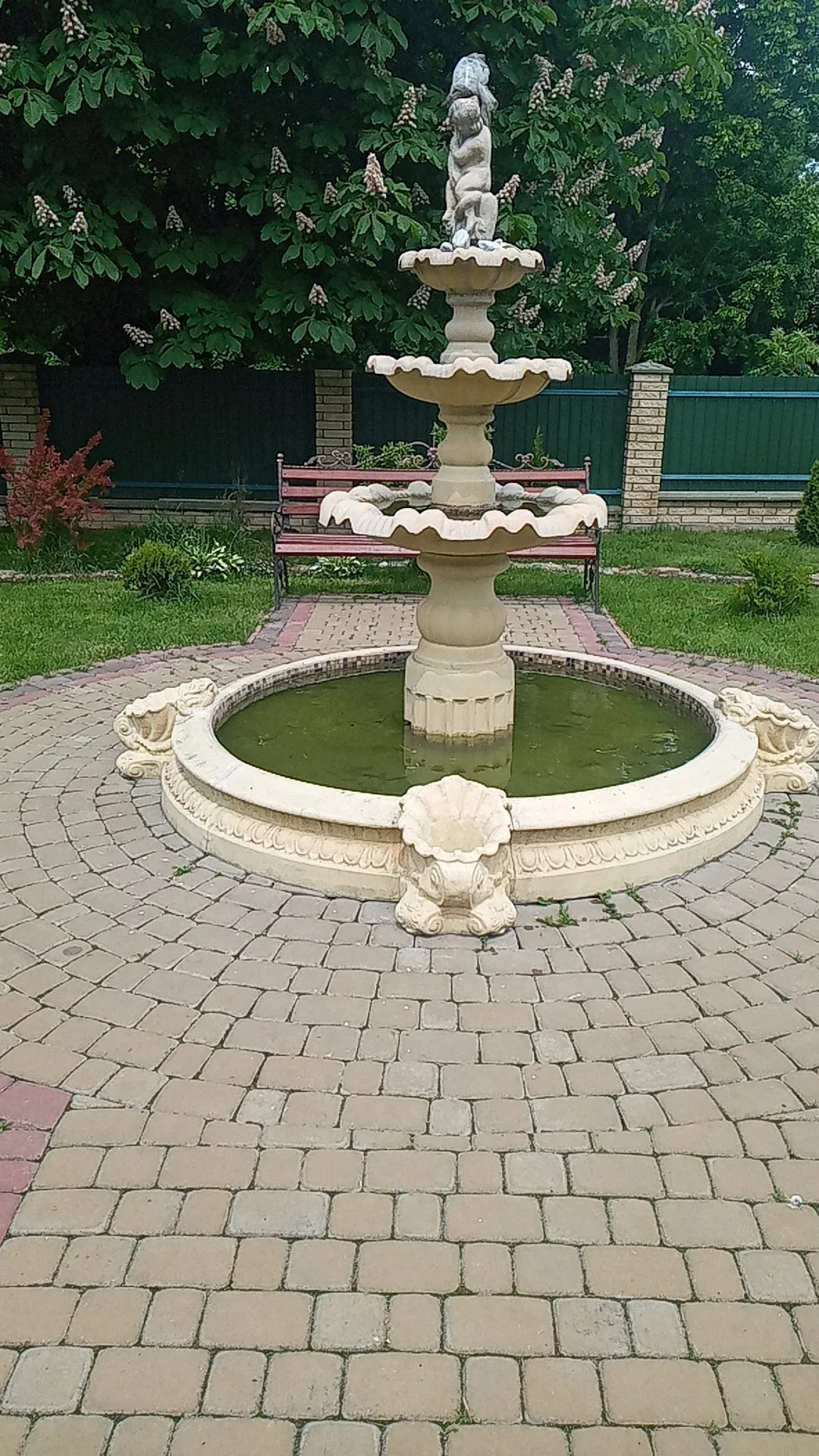 Veselka image 20