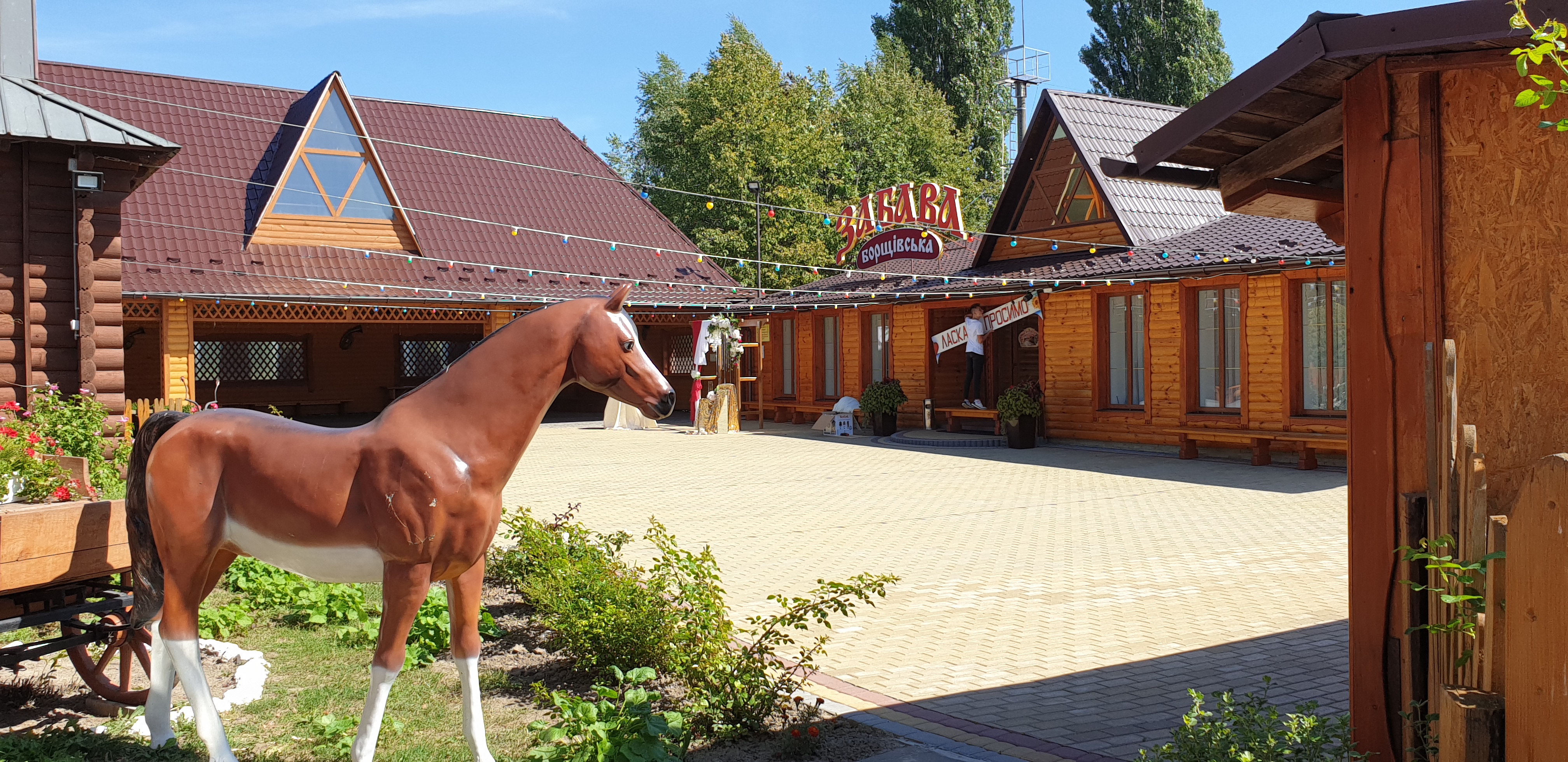 Zabava Borshchivsʹka image 16