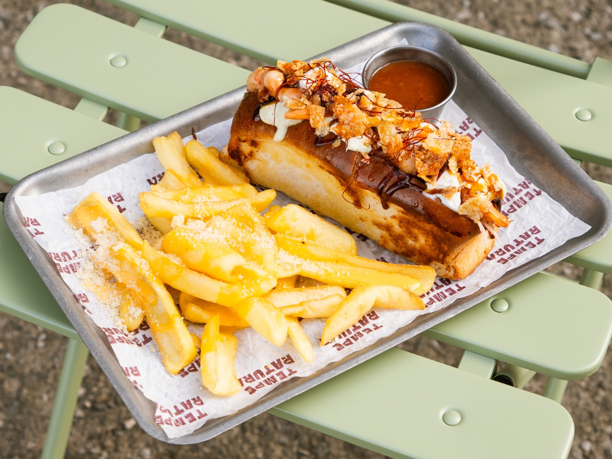 TEMPERATURA image 13