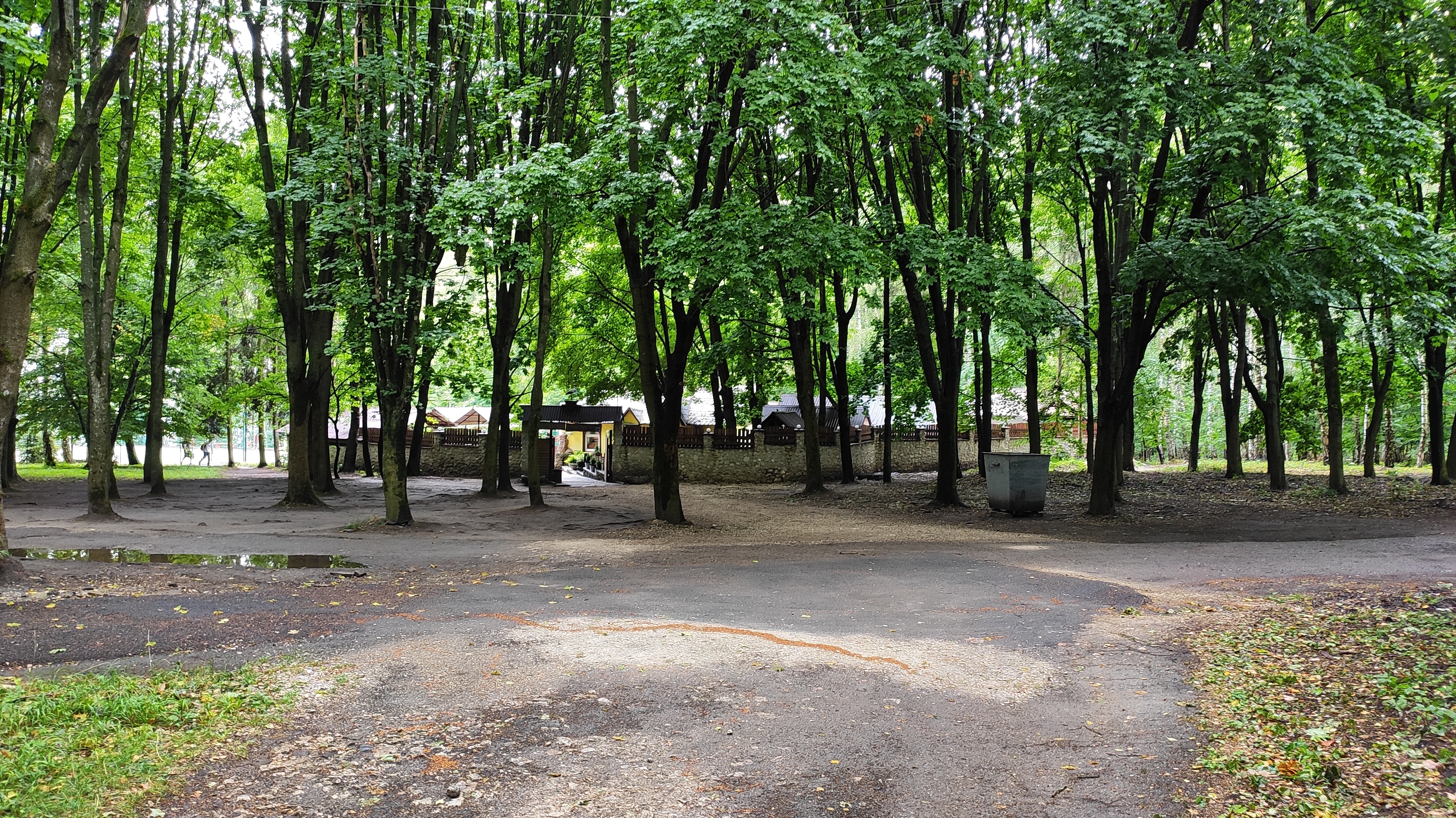 Lemkivsʹkyy Dvir image 14