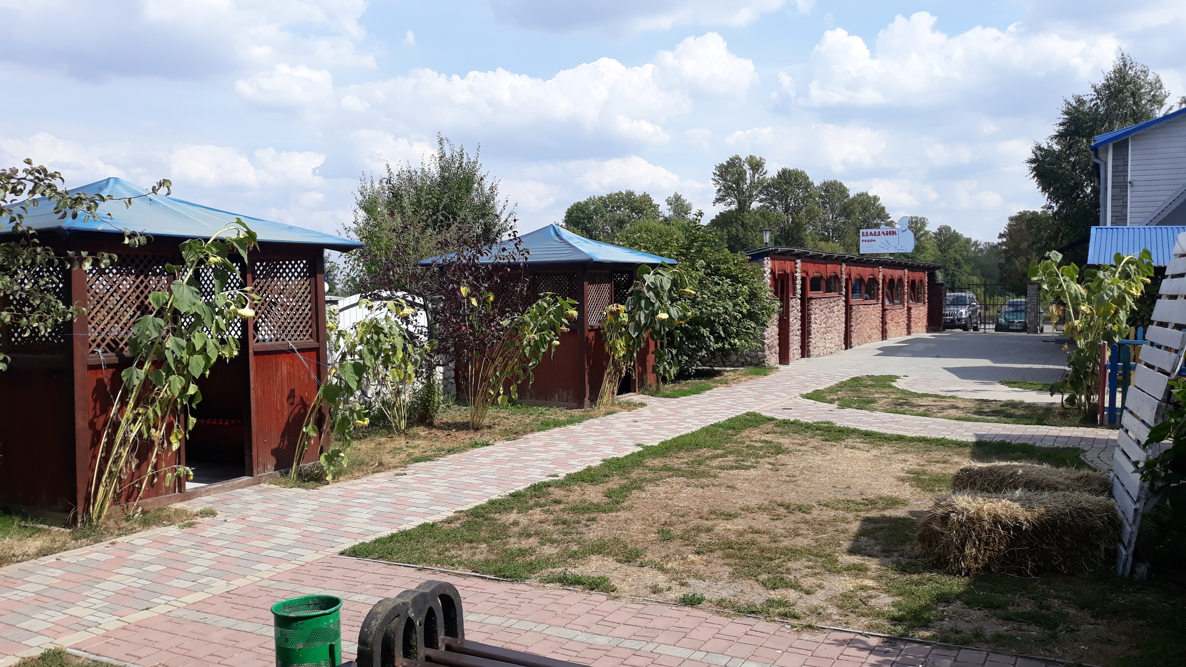 Restaurant "Aviator" image 16