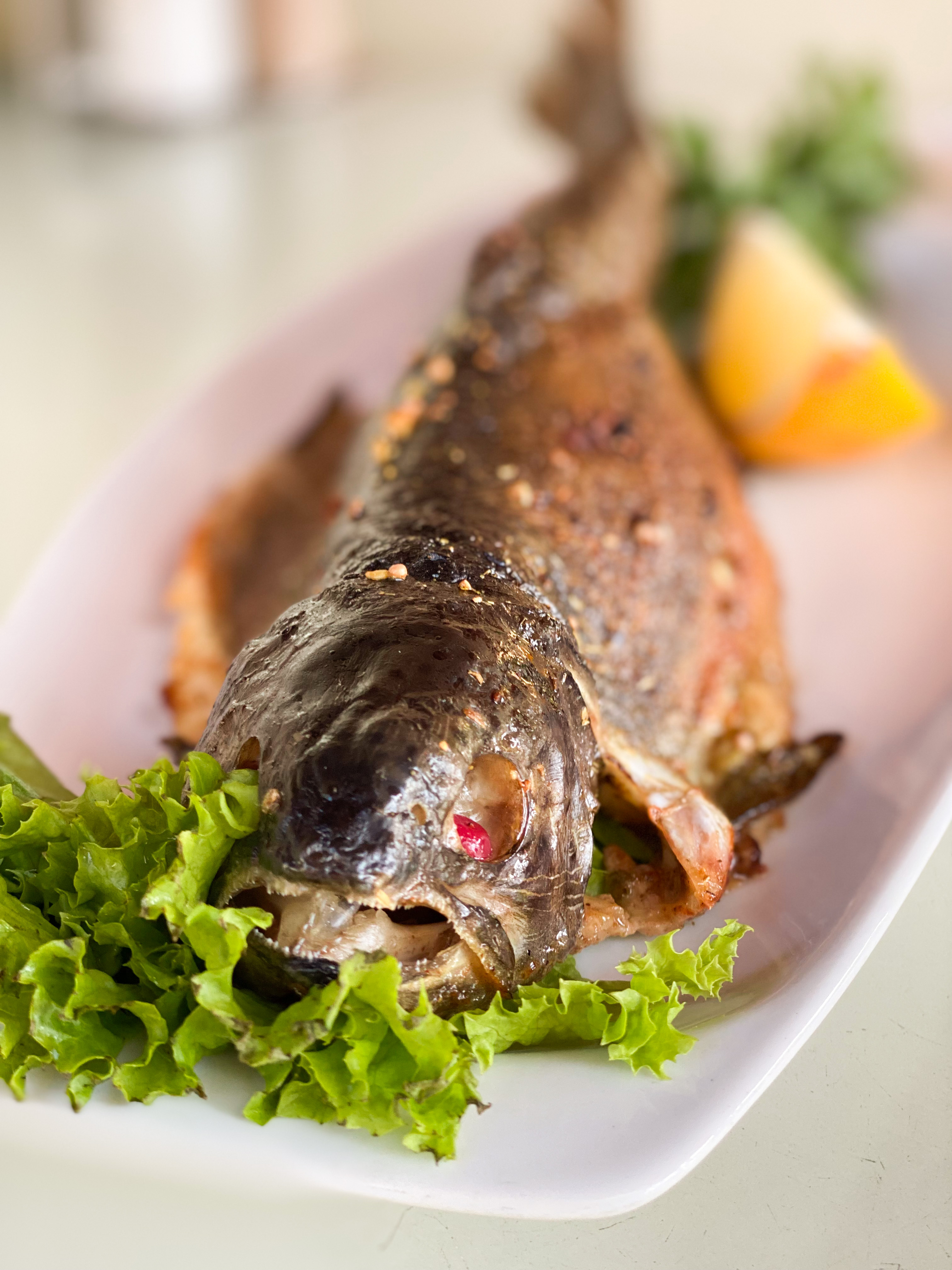 Vytrebenʹky image 15