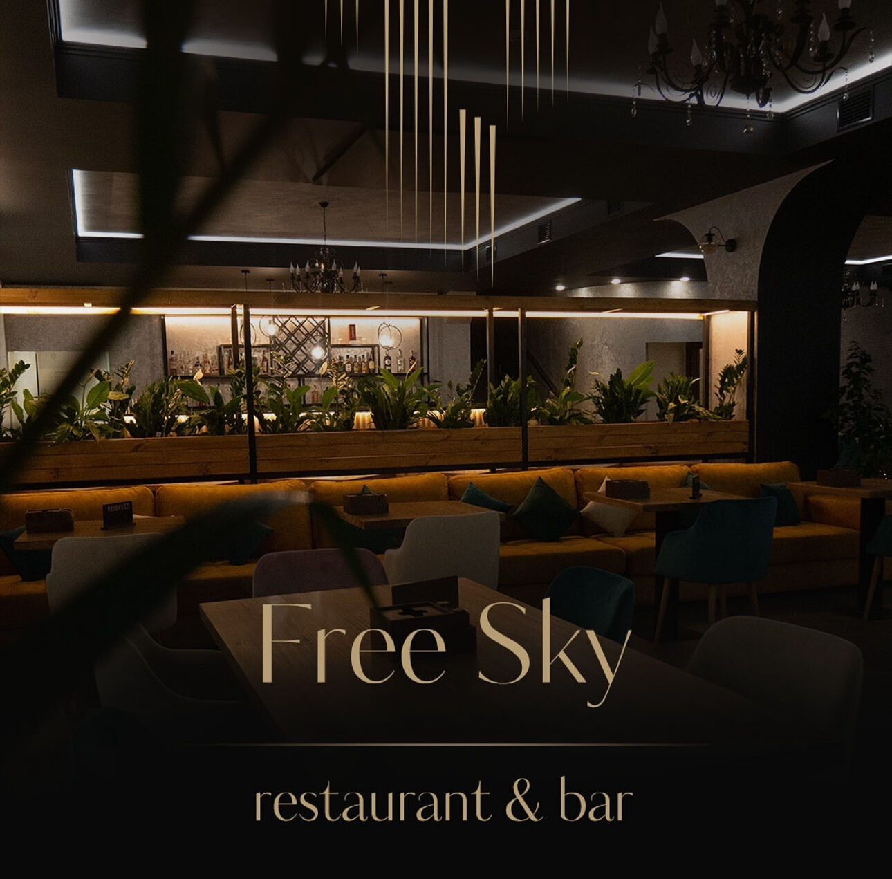 FreeSky image 11