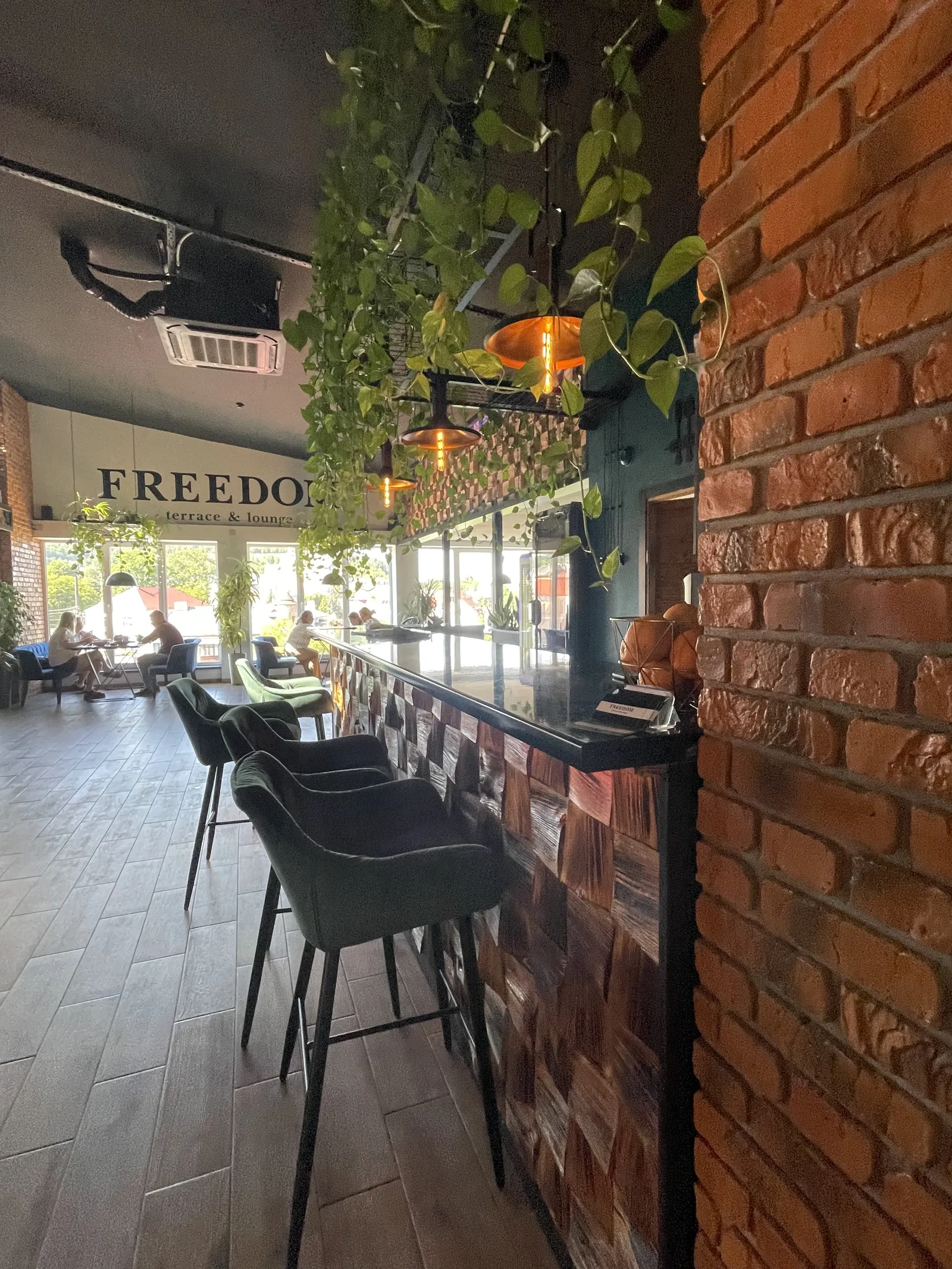 Freedom image 19
