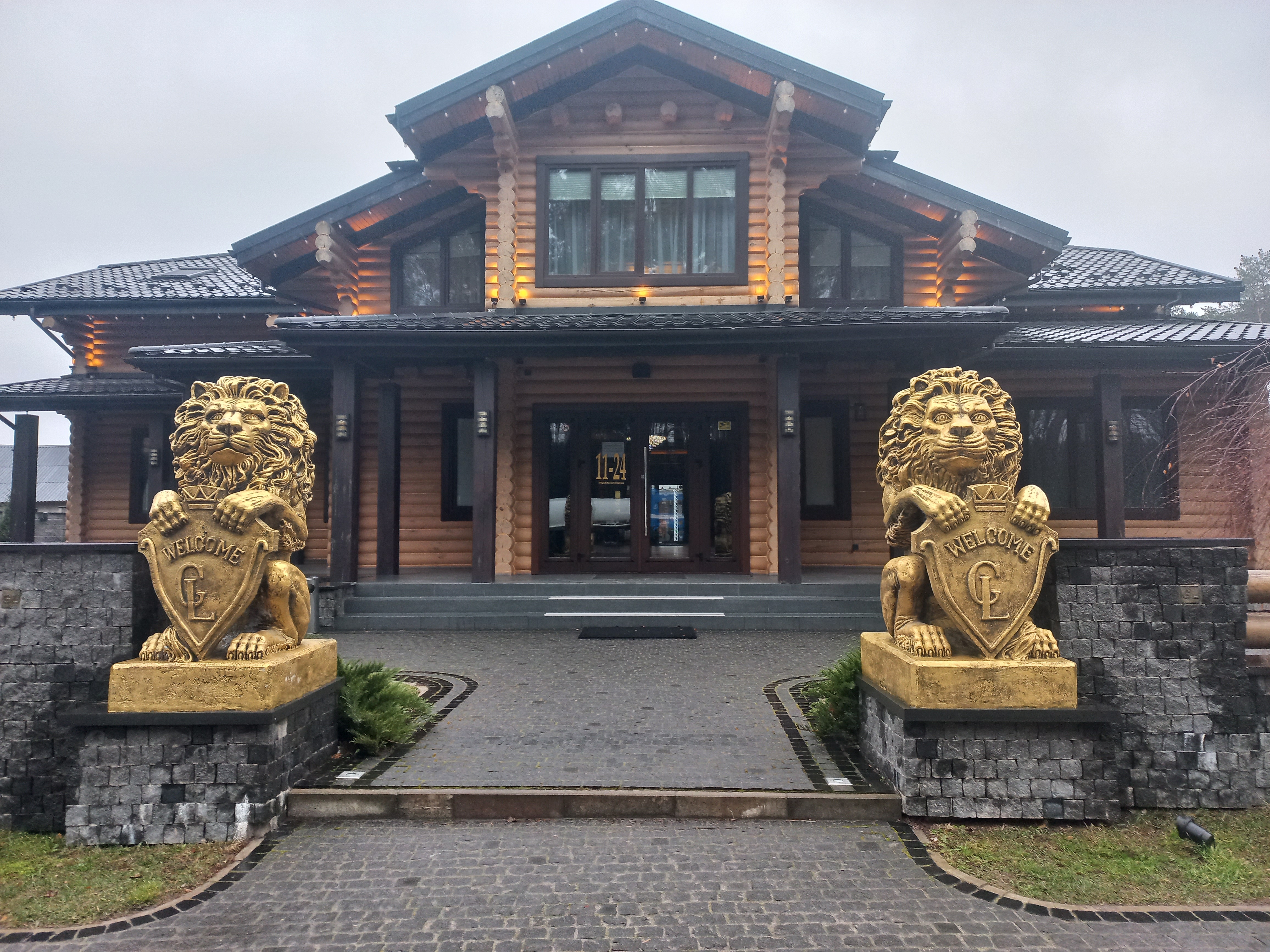 Golden Lion image 14