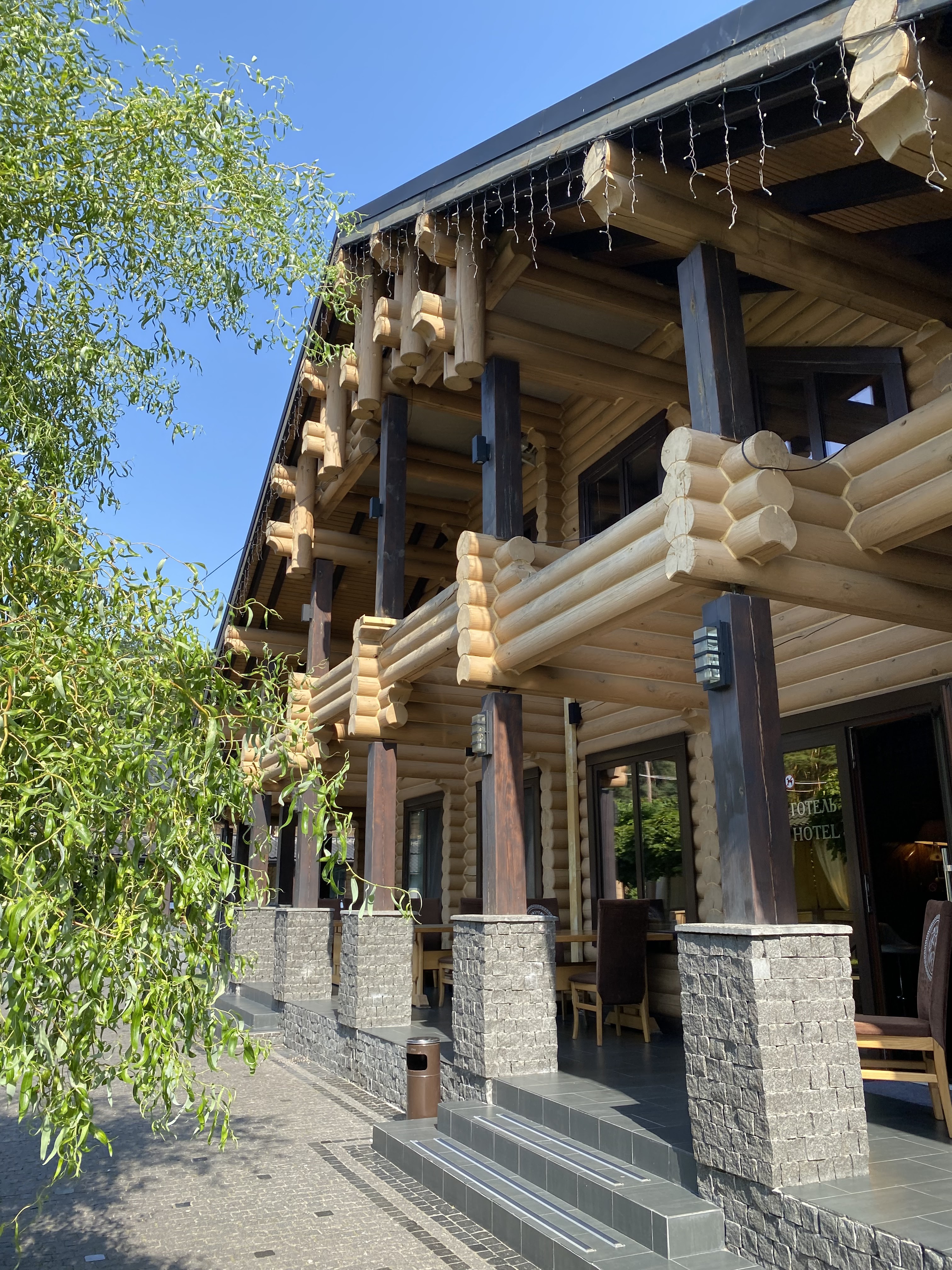 Golden Lion image 17