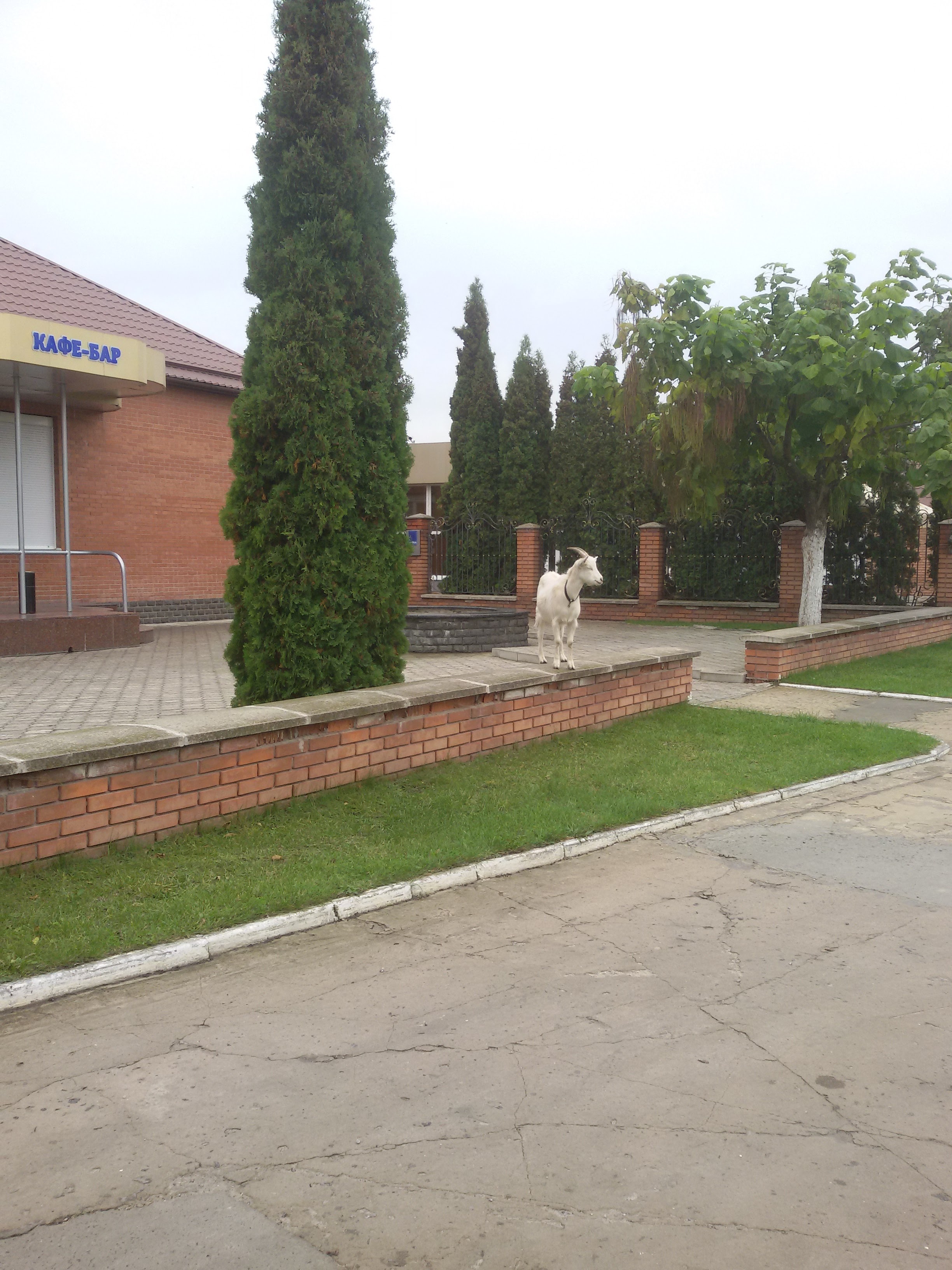 Zoloti Vorota image 13