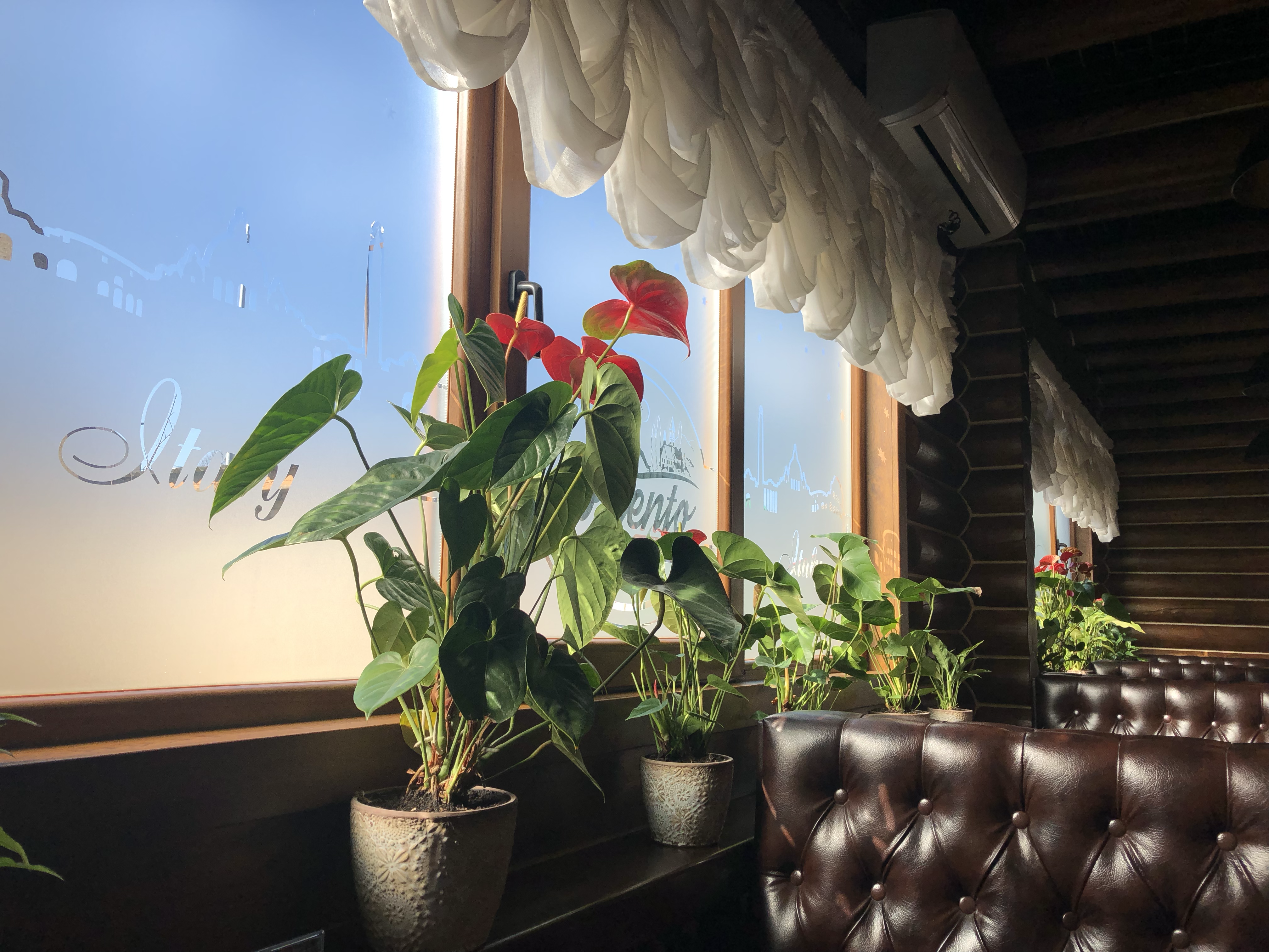 Sorrento/Сорренто image 20