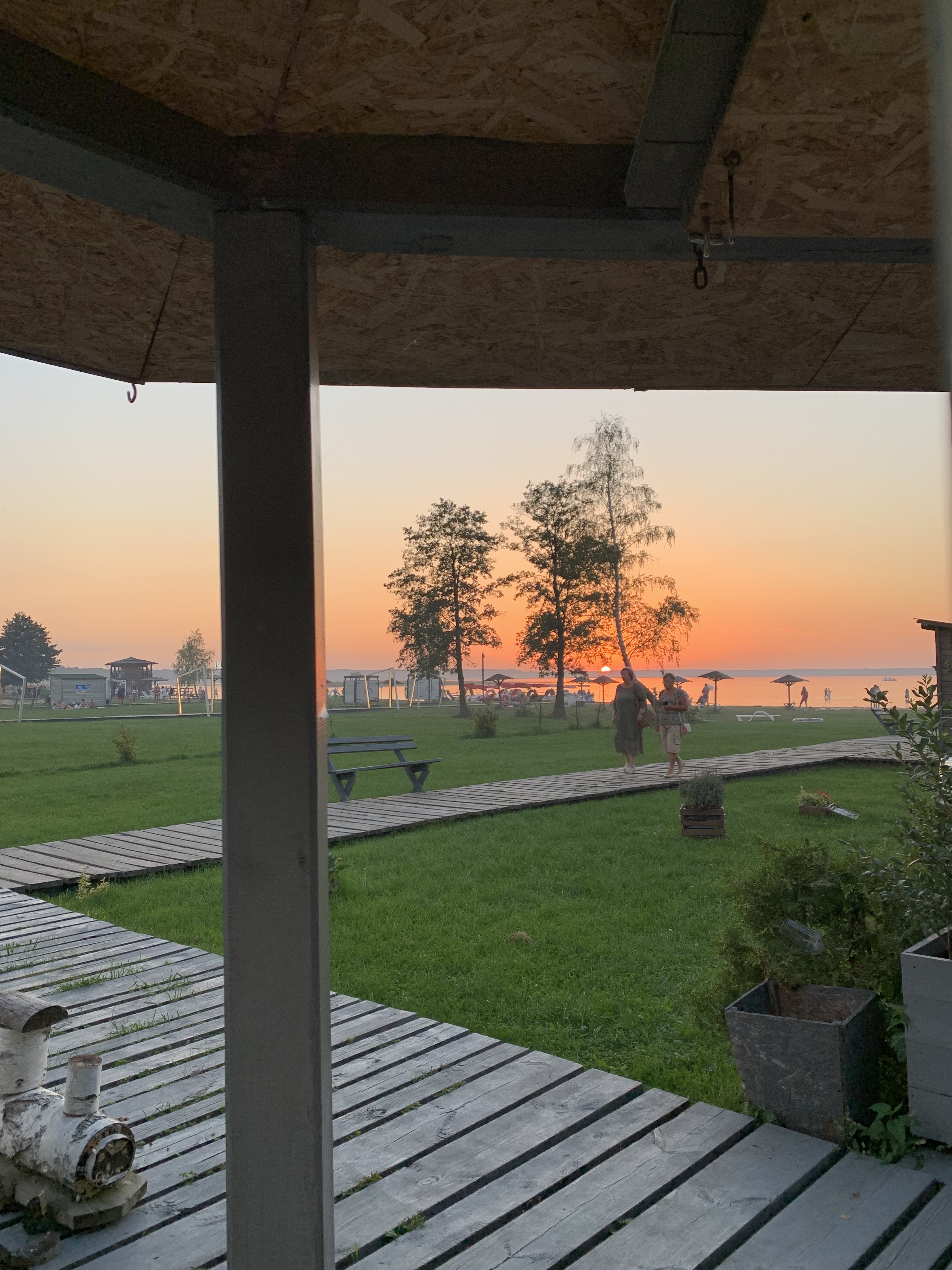 Чорничне кафе image 16