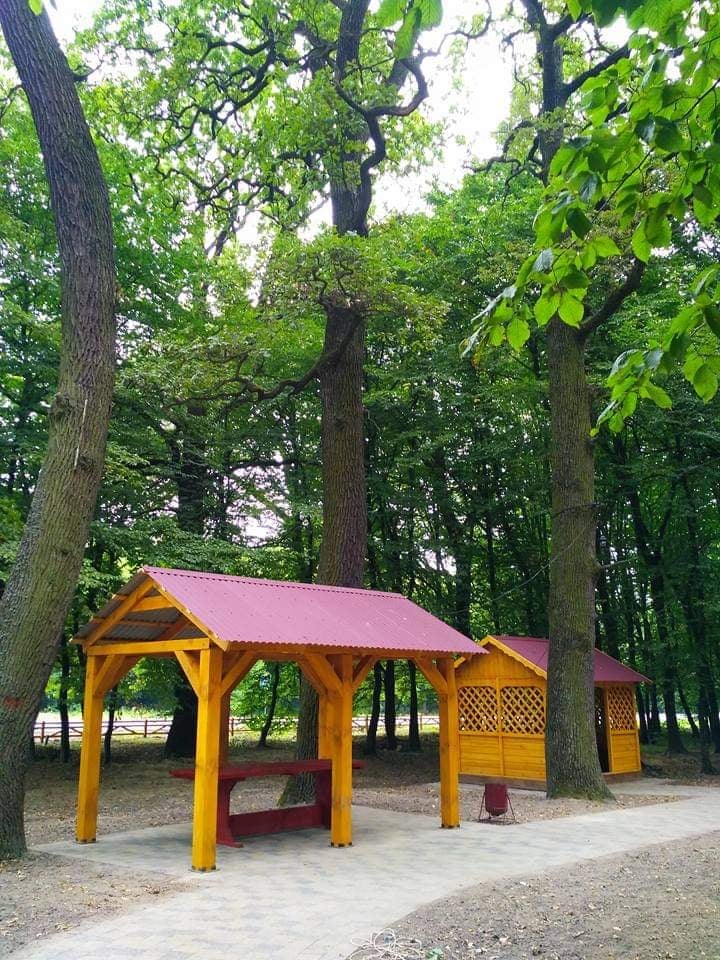 Найсмачніший шашлик по дорозі на Світязь (Зона відпочинку "Узлісся") image 12