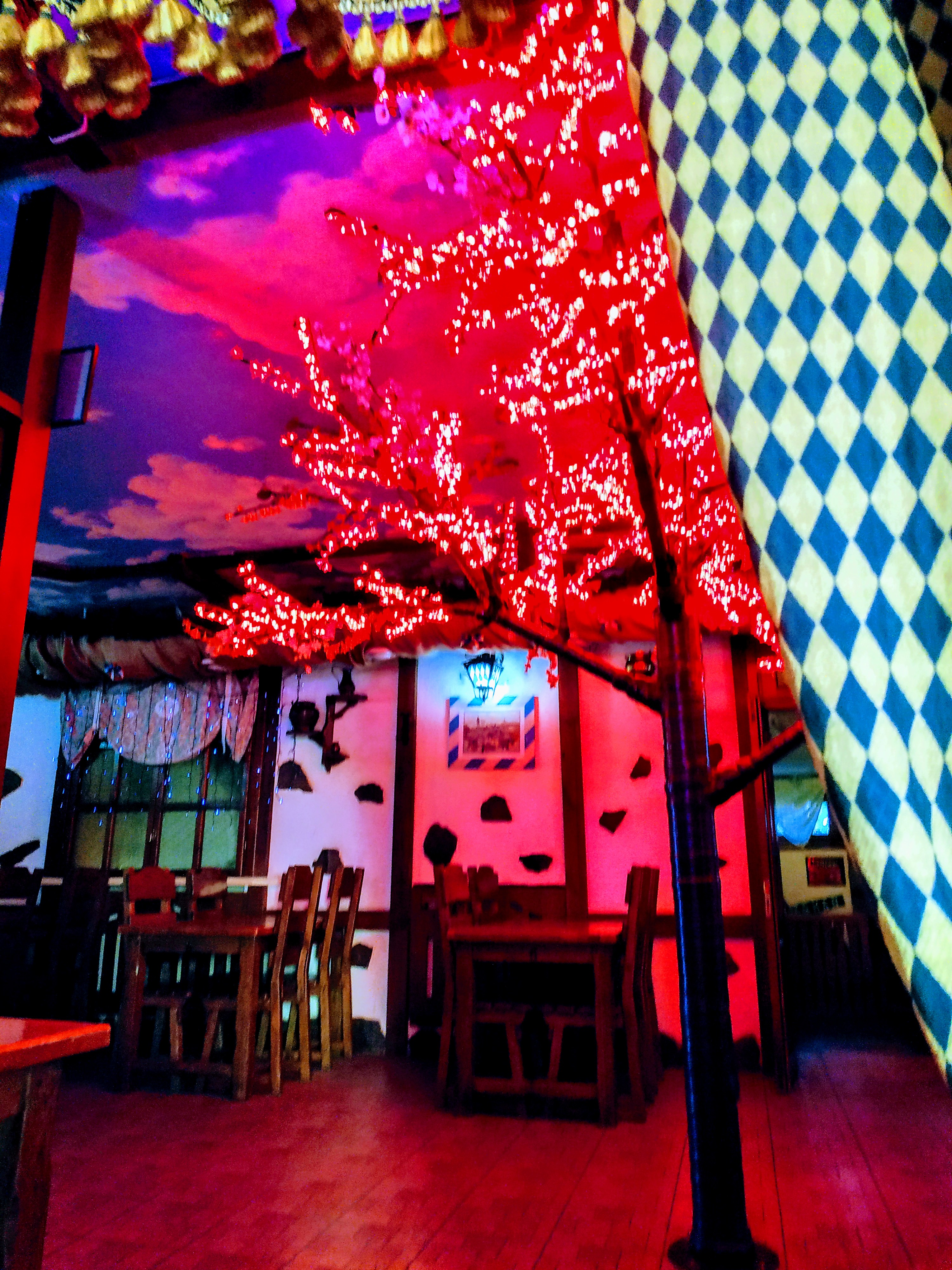 Bar "Zeman" image 10