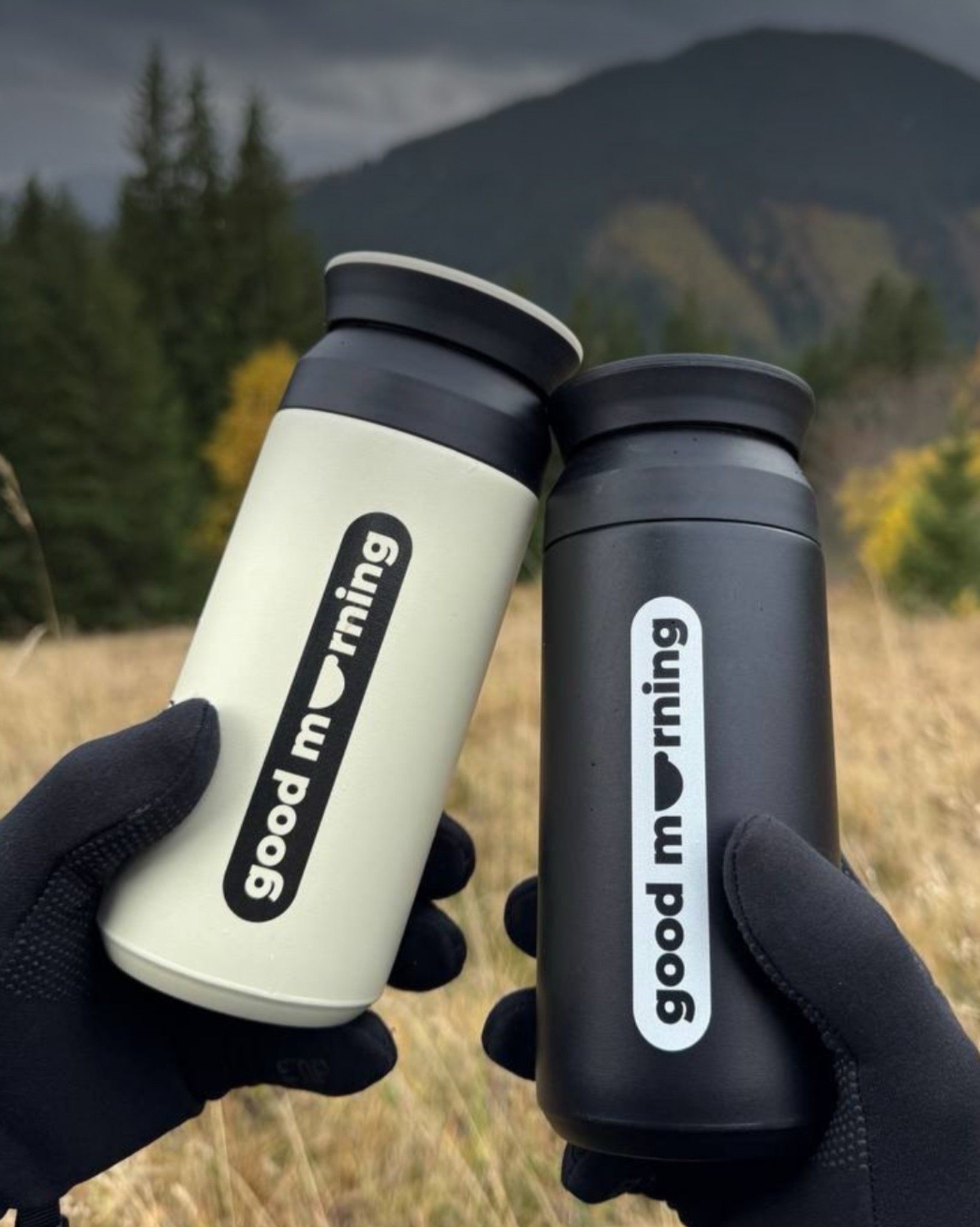 Good Morning image 16